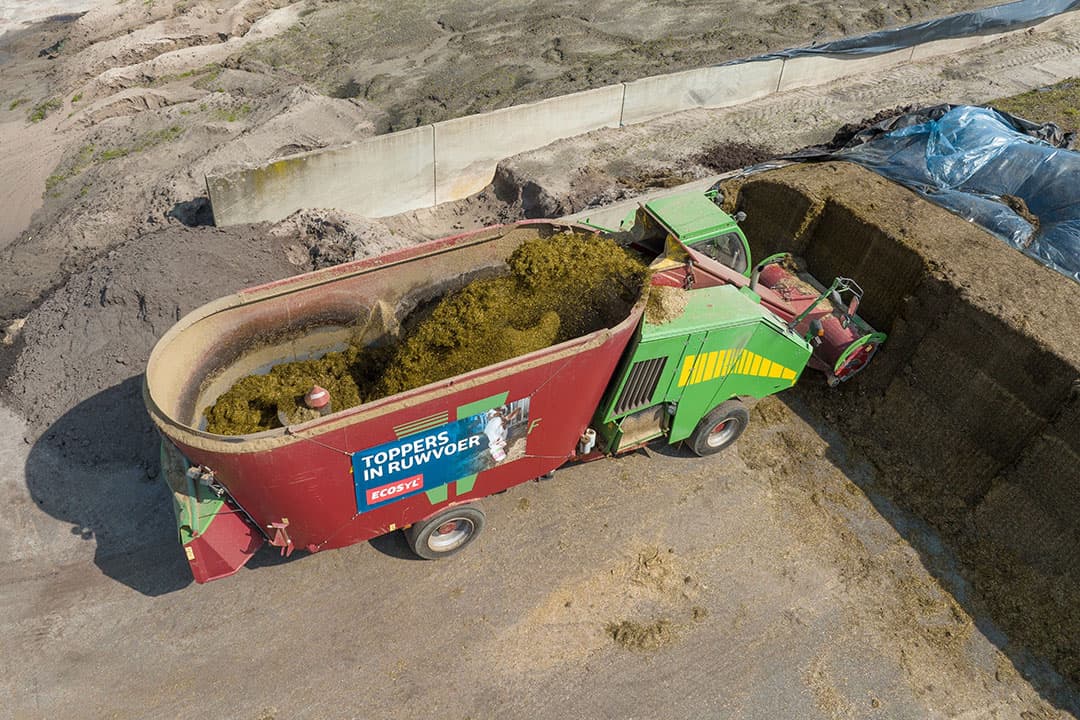 De graskuil op het bedrijf van de broers Bert en Guus Mensink is een lasagnekuil van vijf snedes. - Foto's: Michel Velderman