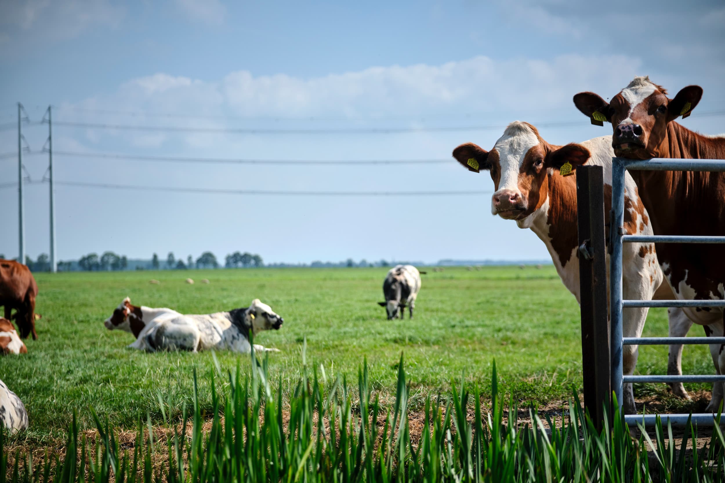Een gebiedsgerichte aanpak vervangt het NPLG. De eerste ‘richting’ hiervan wordt voor het einde van 2024 naar de Tweede Kamer gestuurd. Foto: Fred Libochant