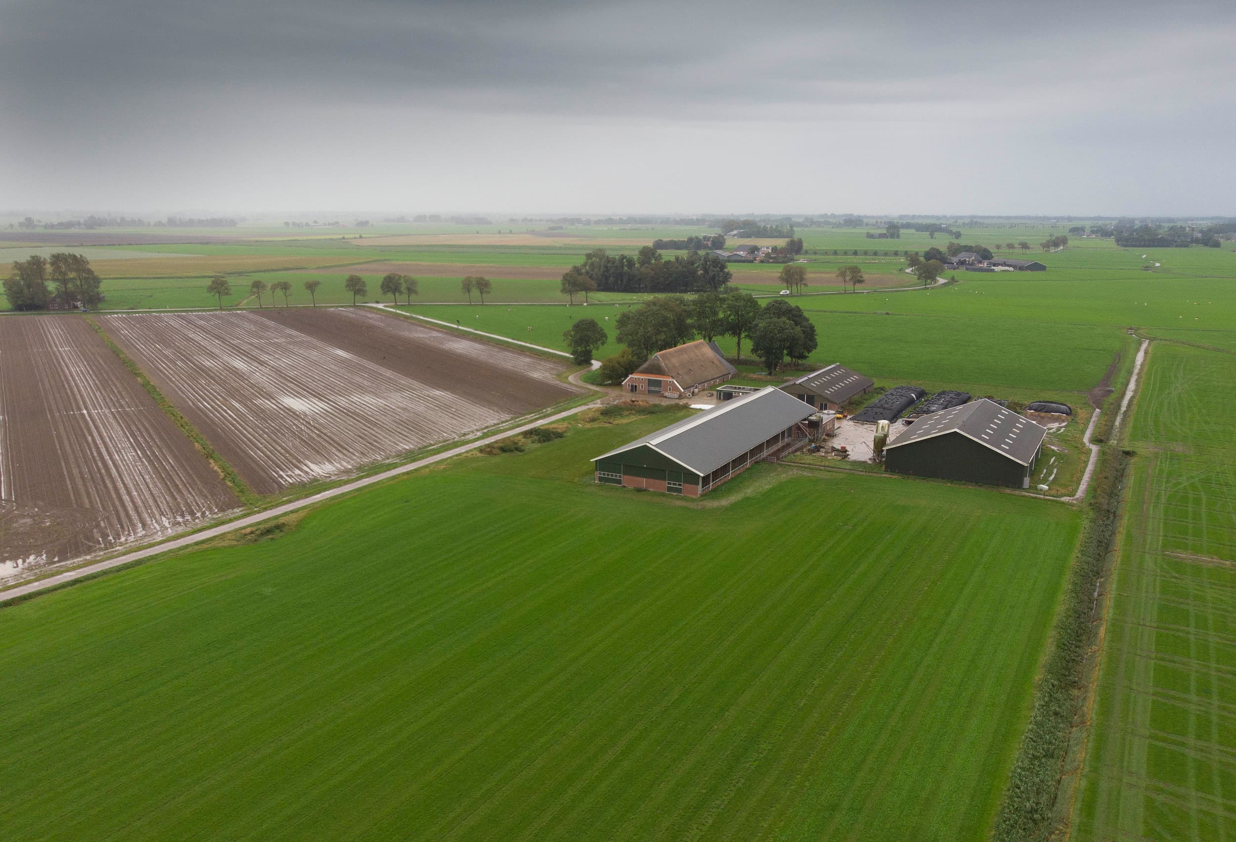 Melkvee- en akkerbouwbedrijf in Friesland. Foto ter illustratie. – Foto: Mark Pasveer