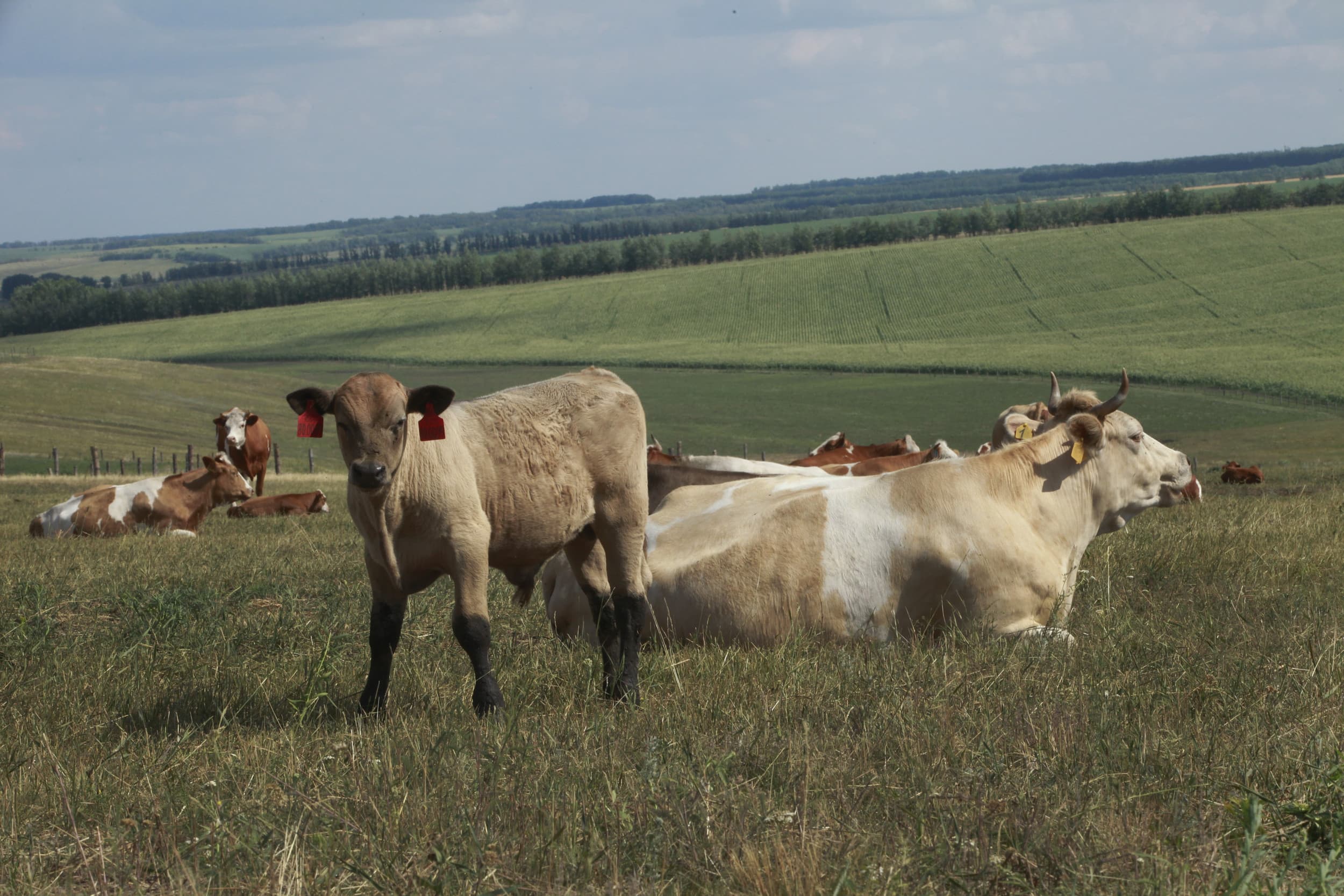 export landbouwmaterieel Rusland niet gesanctioneerd