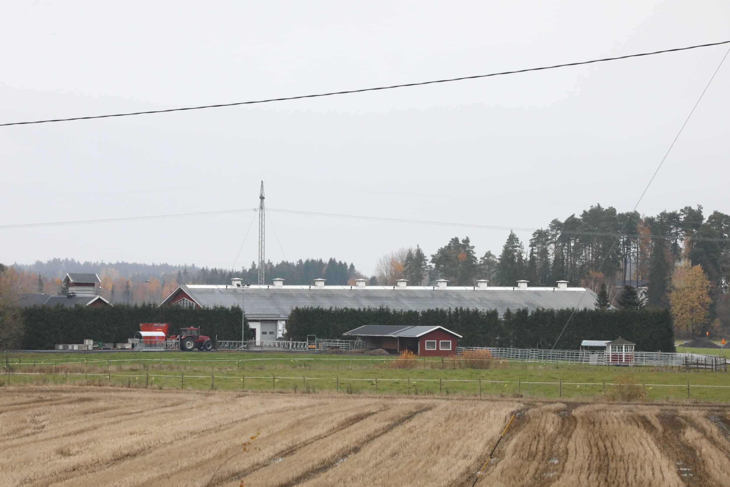 Melkveebedrijf in Finland. Met zeven boerinnen uit heel Nederland zat columnist Miranda Nolten-Westerhof in het Finse Kiuruvesi. Foto ter illustratie. – Foto: Henk Riswick