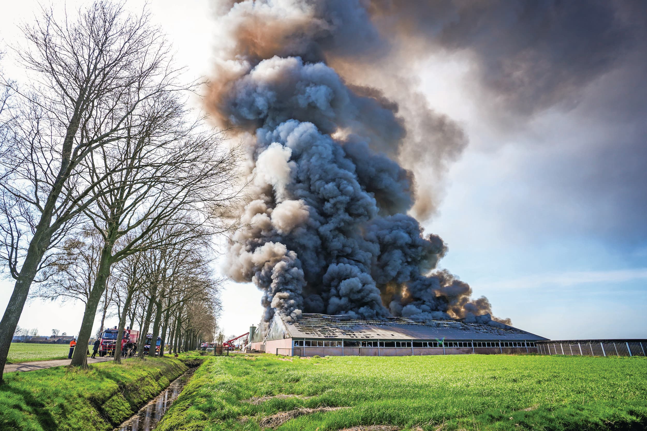 Een stalbrand heeft een enorme impact, zowel bedrijfsmatig als privé. Het Verbond van Verzekeraars telde vorig jaar 43 stalbranden in Nederland. Daarbij kwamen 37.000 dieren om. Met de invoering van de verplichte elektrakeuring dit jaar wil het ministerie het aantal stalbranden terugdringen. - Foto: Bert Jansen