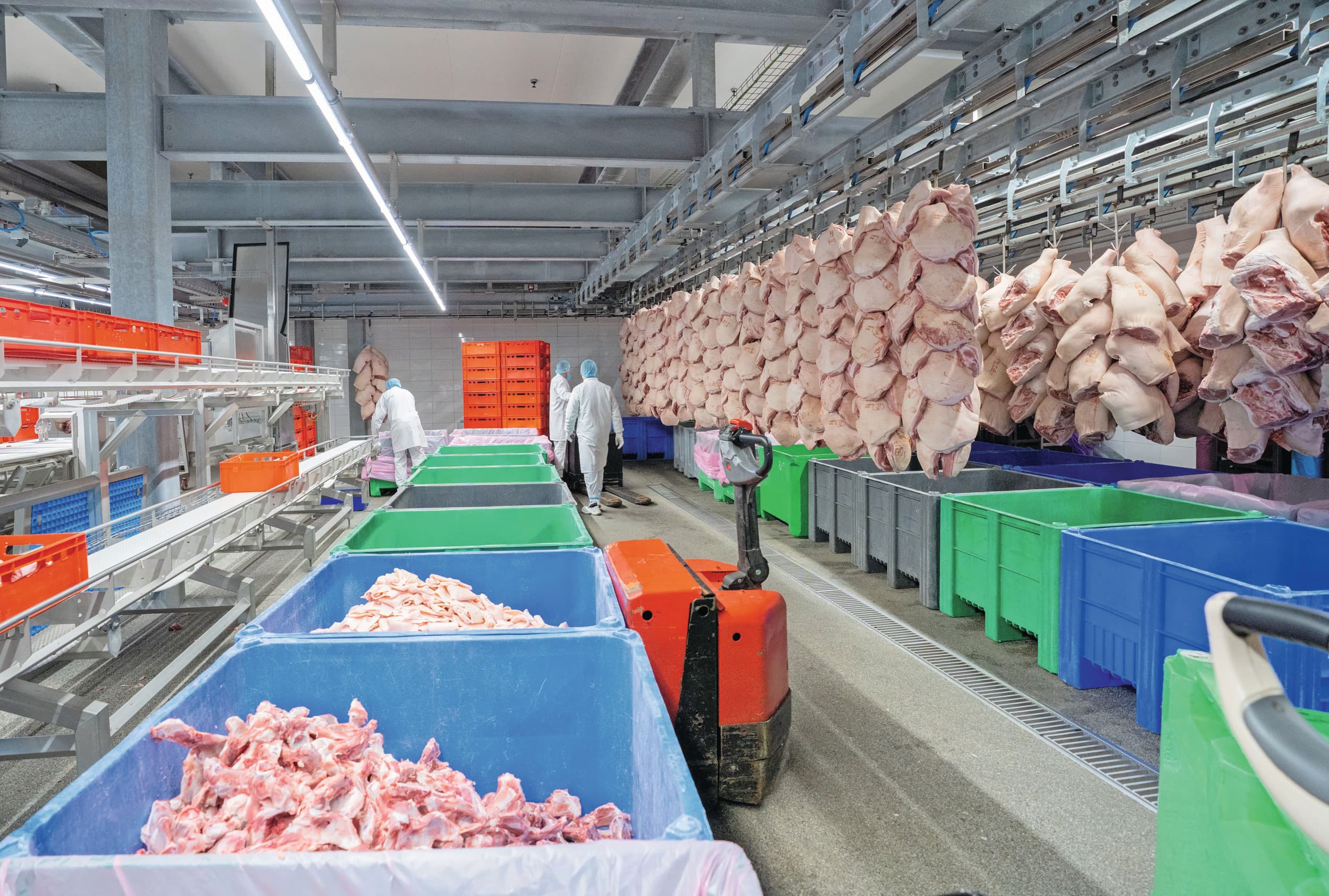 Nu de vakanties zijn afgelopen en de industrie is opgestart, is de vleesmarkt wat vriendelijker dan een paar weken geleden. Ook goed nazomerweer helpt mee. Foto: Jan Willem Schouten
