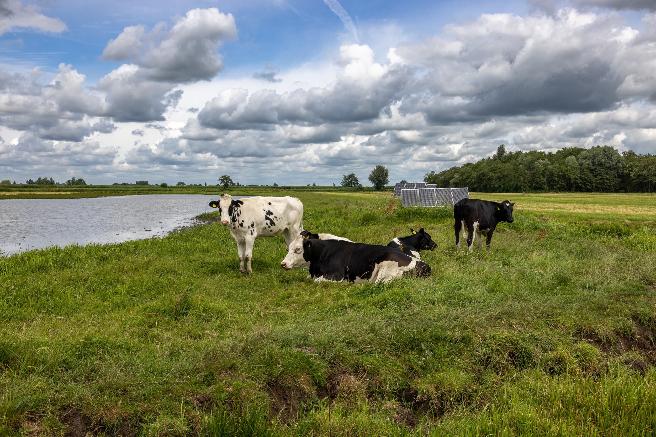 Het kabinet stopt met het Nationaal Plan Landelijk Gebied (NPLG), meldde de NOS woensdagochtend. – Foto: Peter Roek