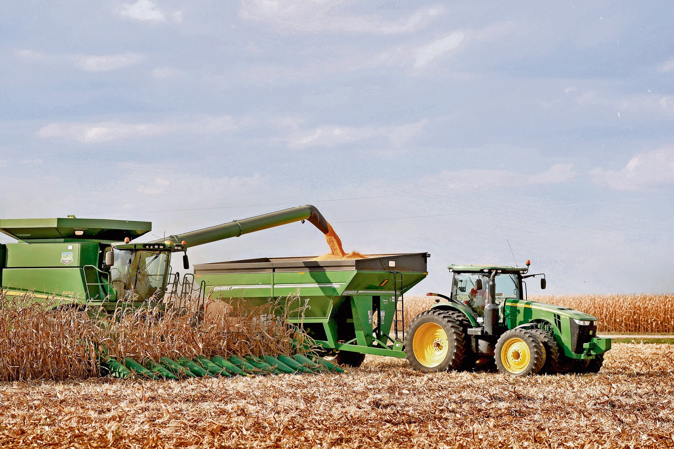 Maisoogst. Efsa ziet geen bewijs voor schadelijke effecten van de genetisch gemodificeerde mais MON 810. Foto: Bayer AG