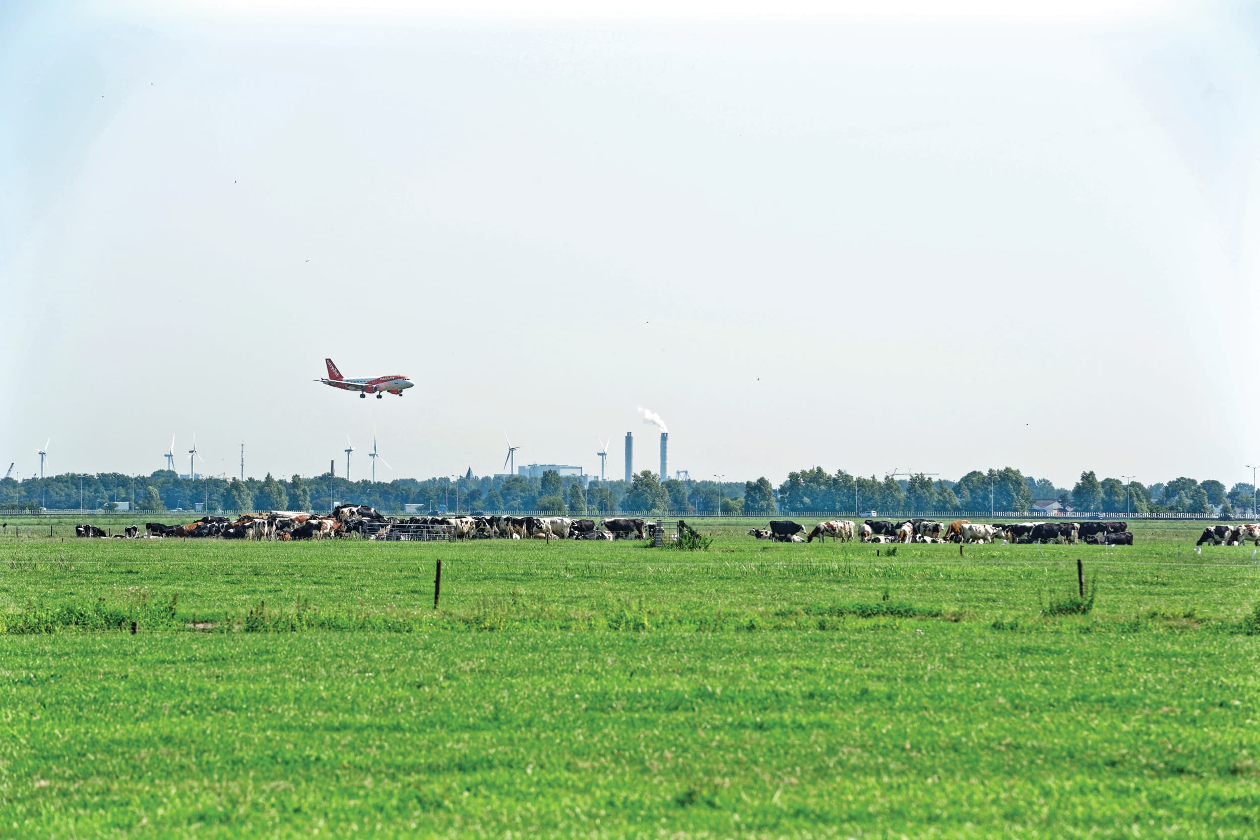 Bij landbouworganisaties heerst teleurstelling over het feit dat het wetenschappers niet is gelukt om een nieuwe wetenschappelijk onderbouwde ondergrens voor stikstof te bepalen. Foto: Lex Salverda