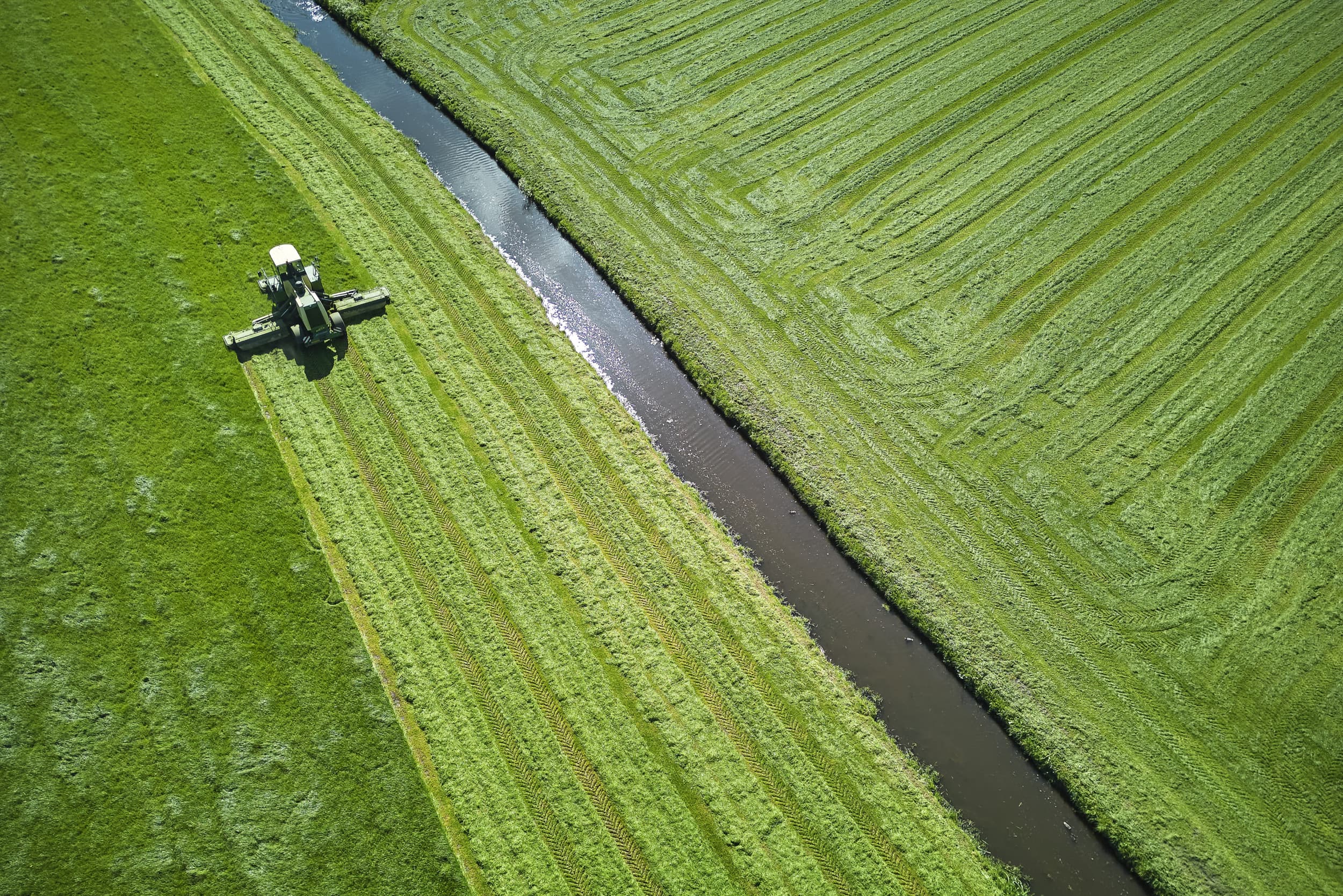 Er komt geen wijzigingen aan het puntensysteem voor de eco-regelingen van het Gemeenschappelijk Landbouwbeleid. – Foto: Van Asseldelft Fotografie