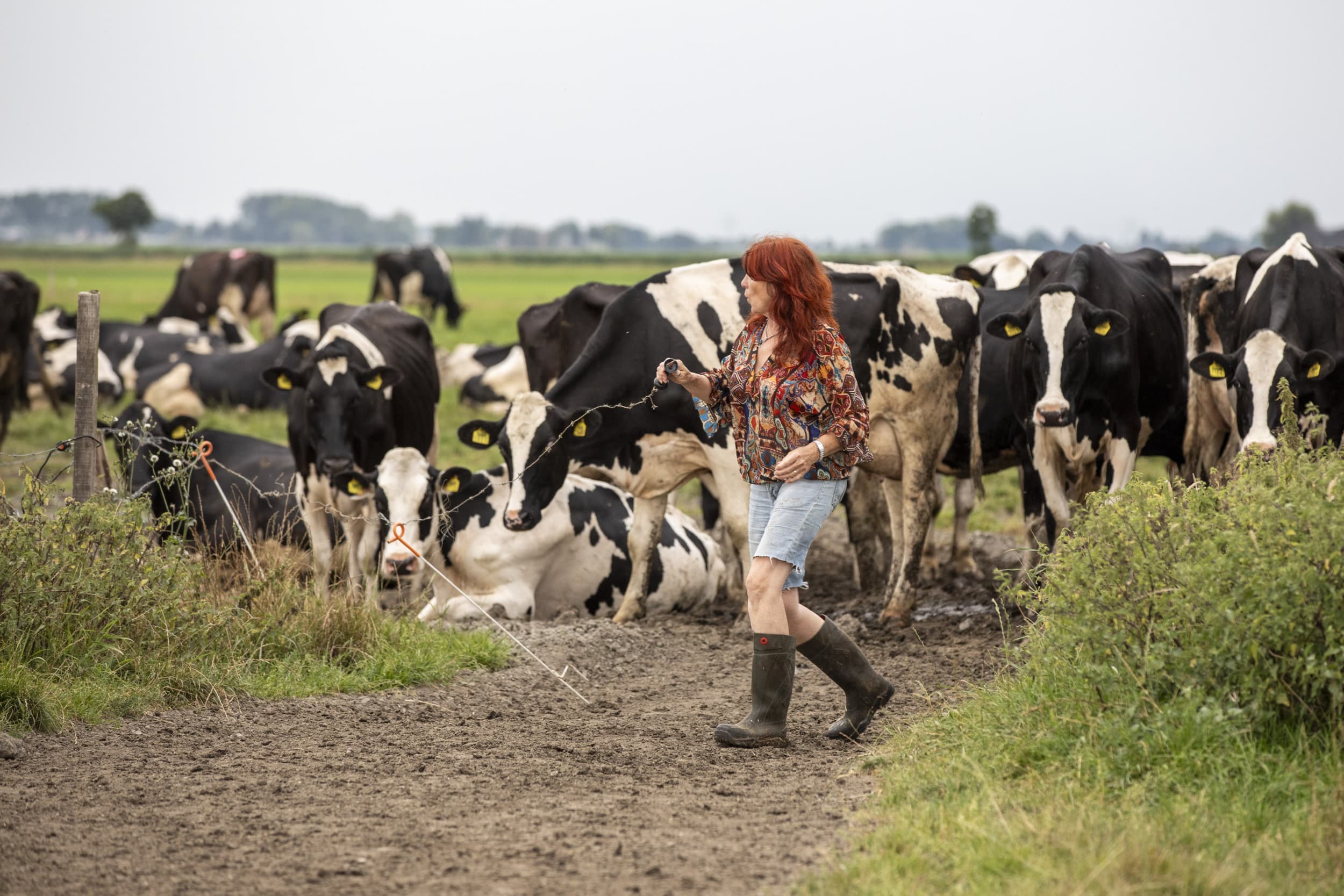 boerin Sytske passie voor koeien