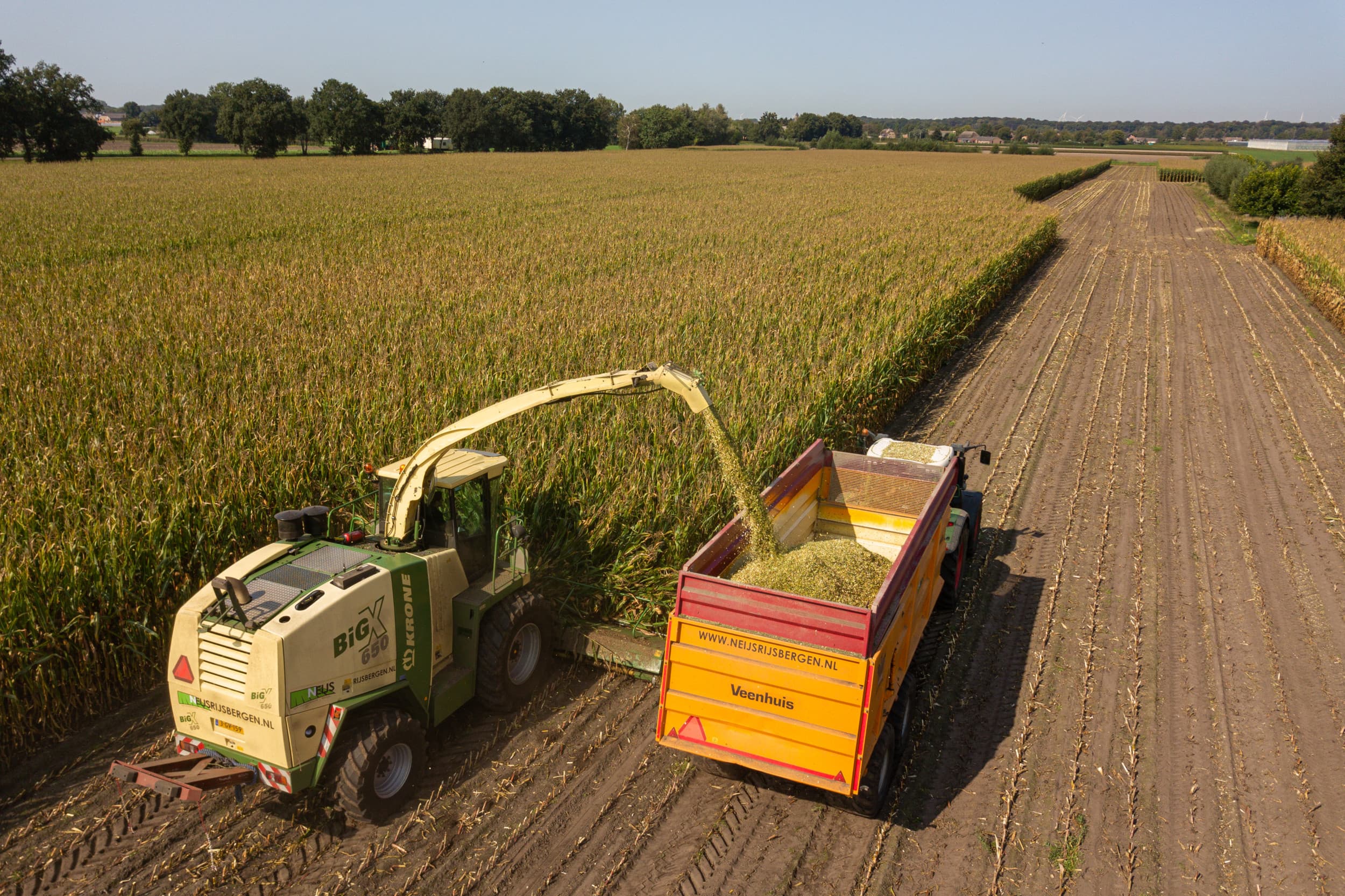 maisoogst inkuilproces en bewaring