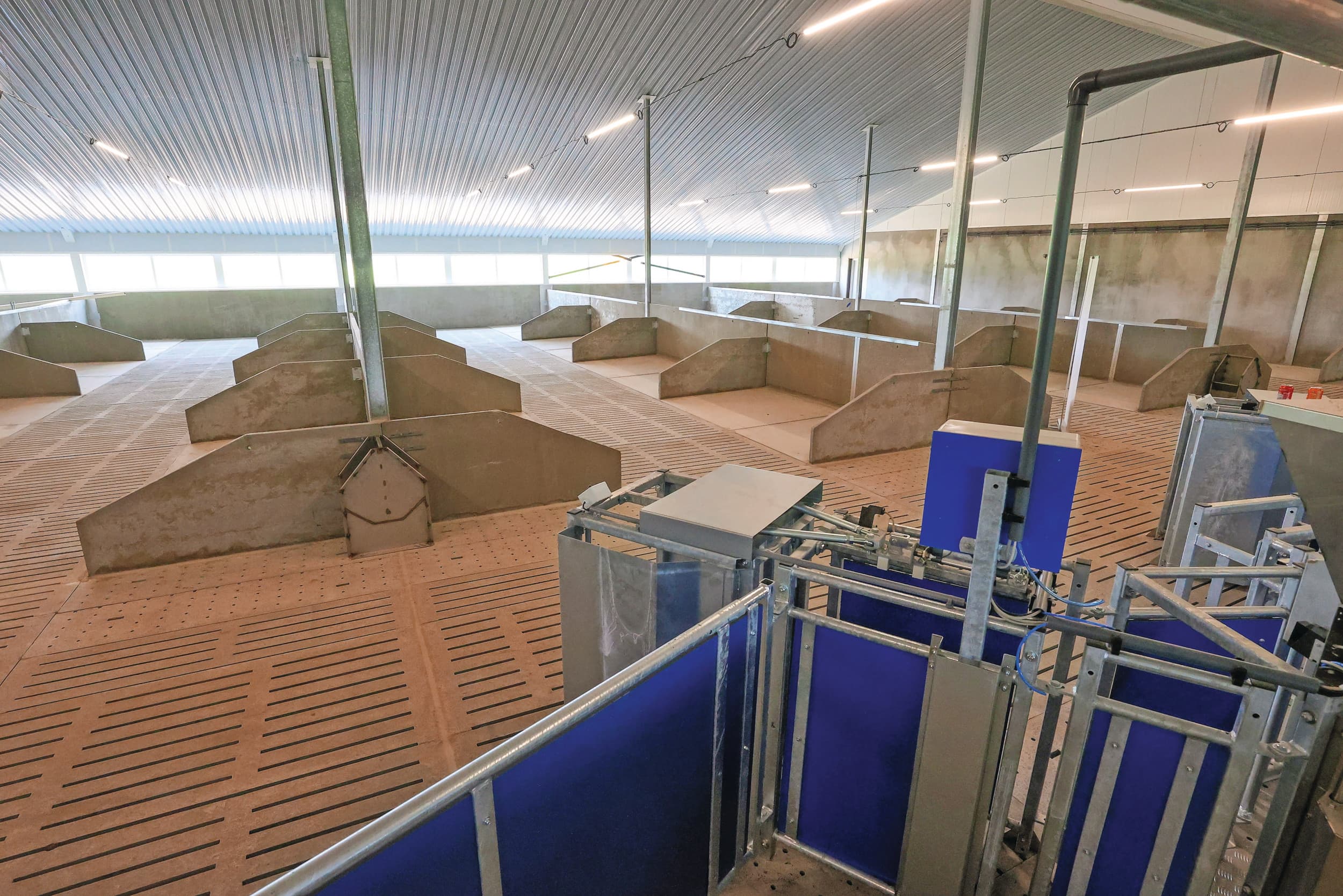 redelijke termijn procedure bij bezwaar maken