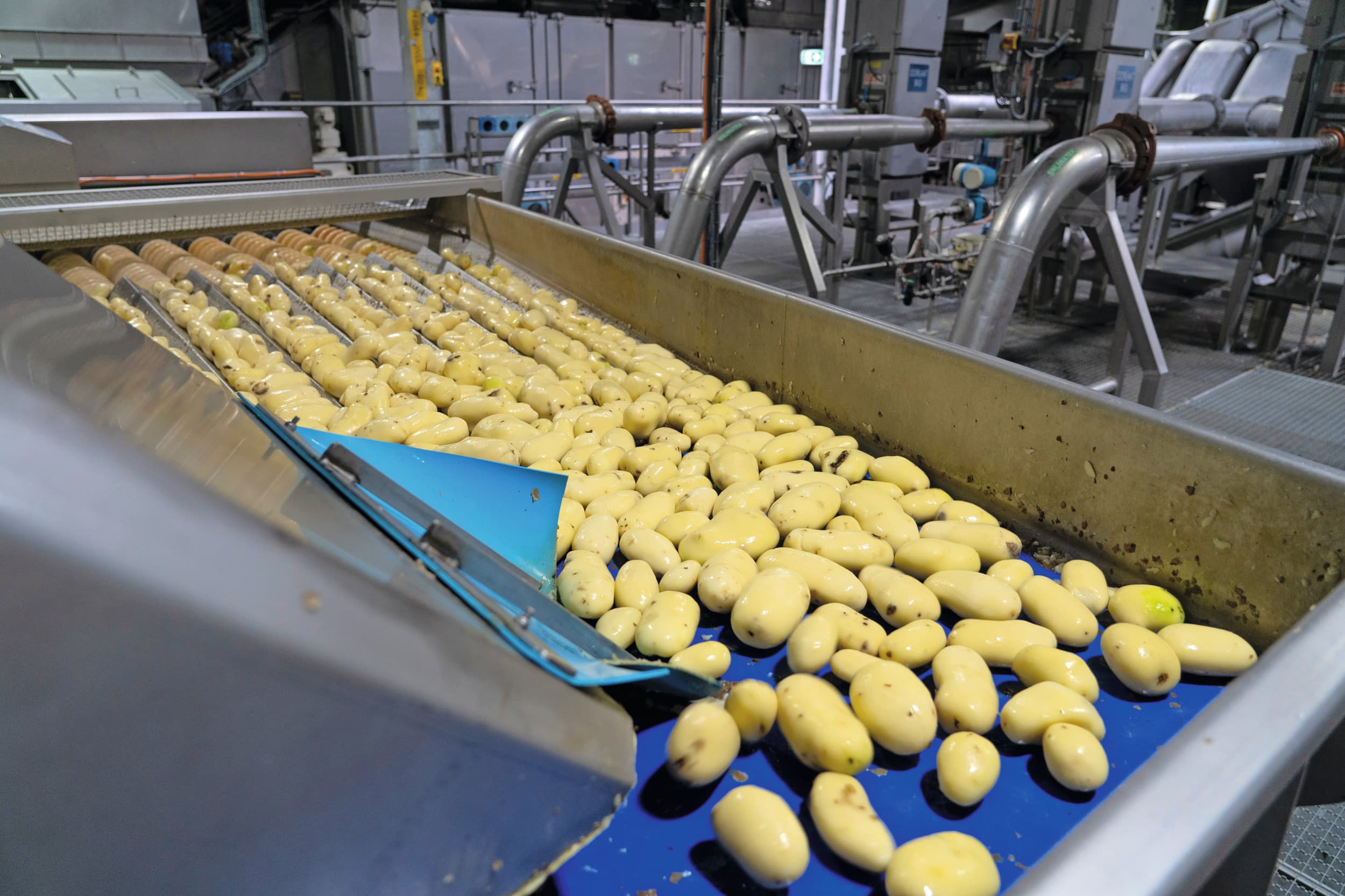 De aardappelverwerkende industrie kan haar afzet de komende jaren verder uitbreiden, voorziet de Vavi. – Foto: Jan Willem Schouten