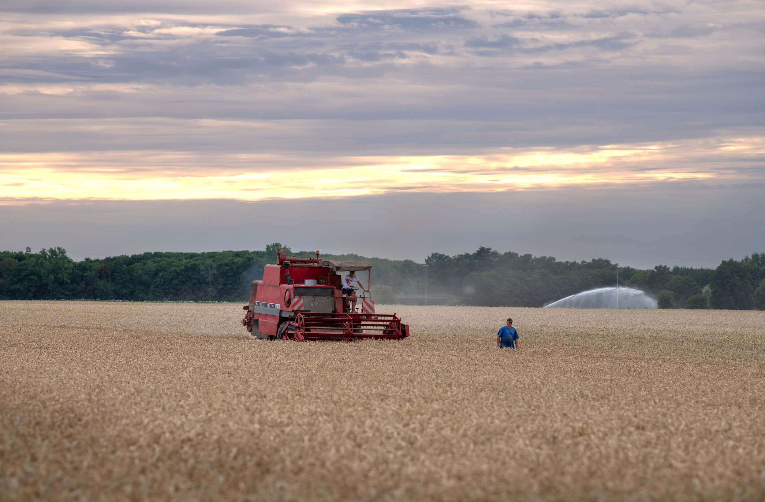 Graanoogst in Frankrijk. Foto: Mark Pasveer