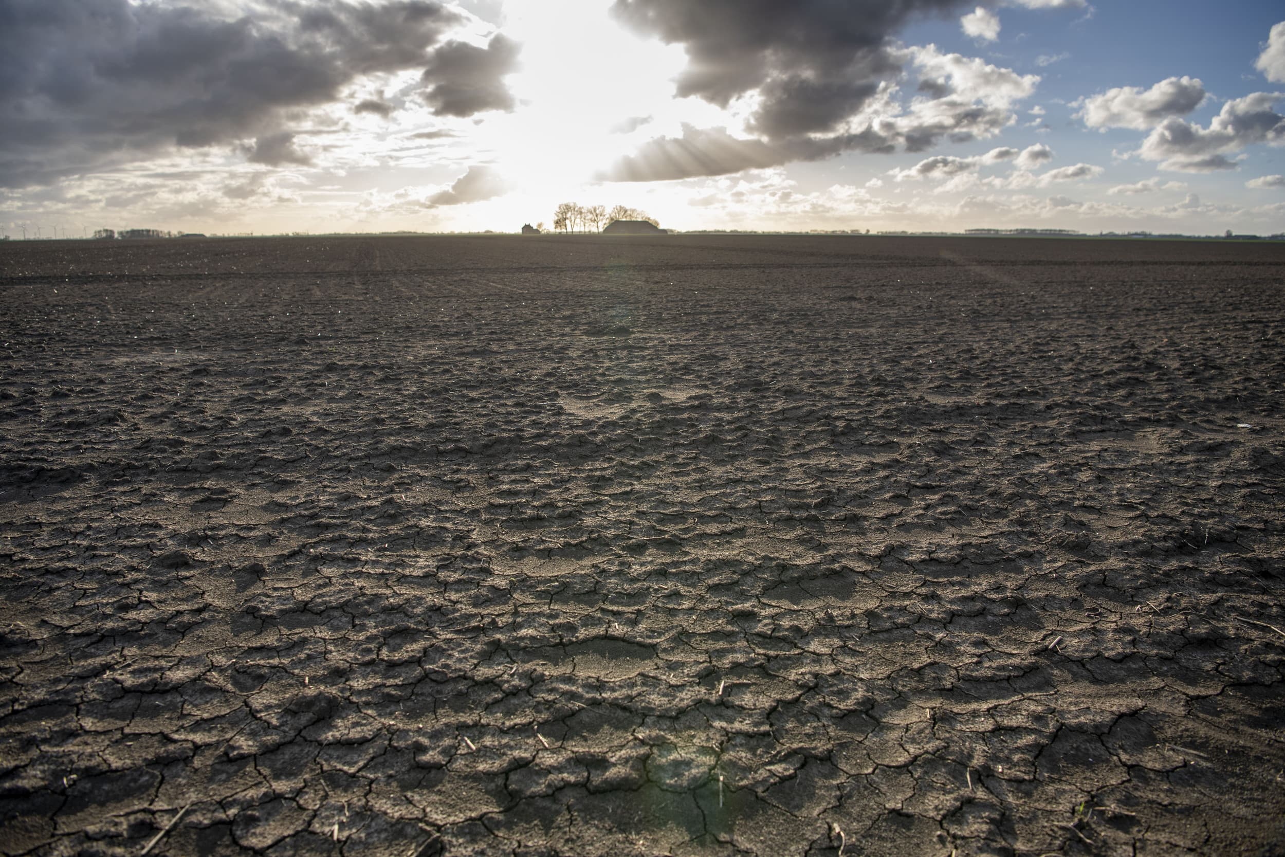 Een aankoop van landbouwgrond kan worden ontbonden als de financiering niet rondkomt, maar alleen onder voorwaarden. Foto: Mark Pasveer