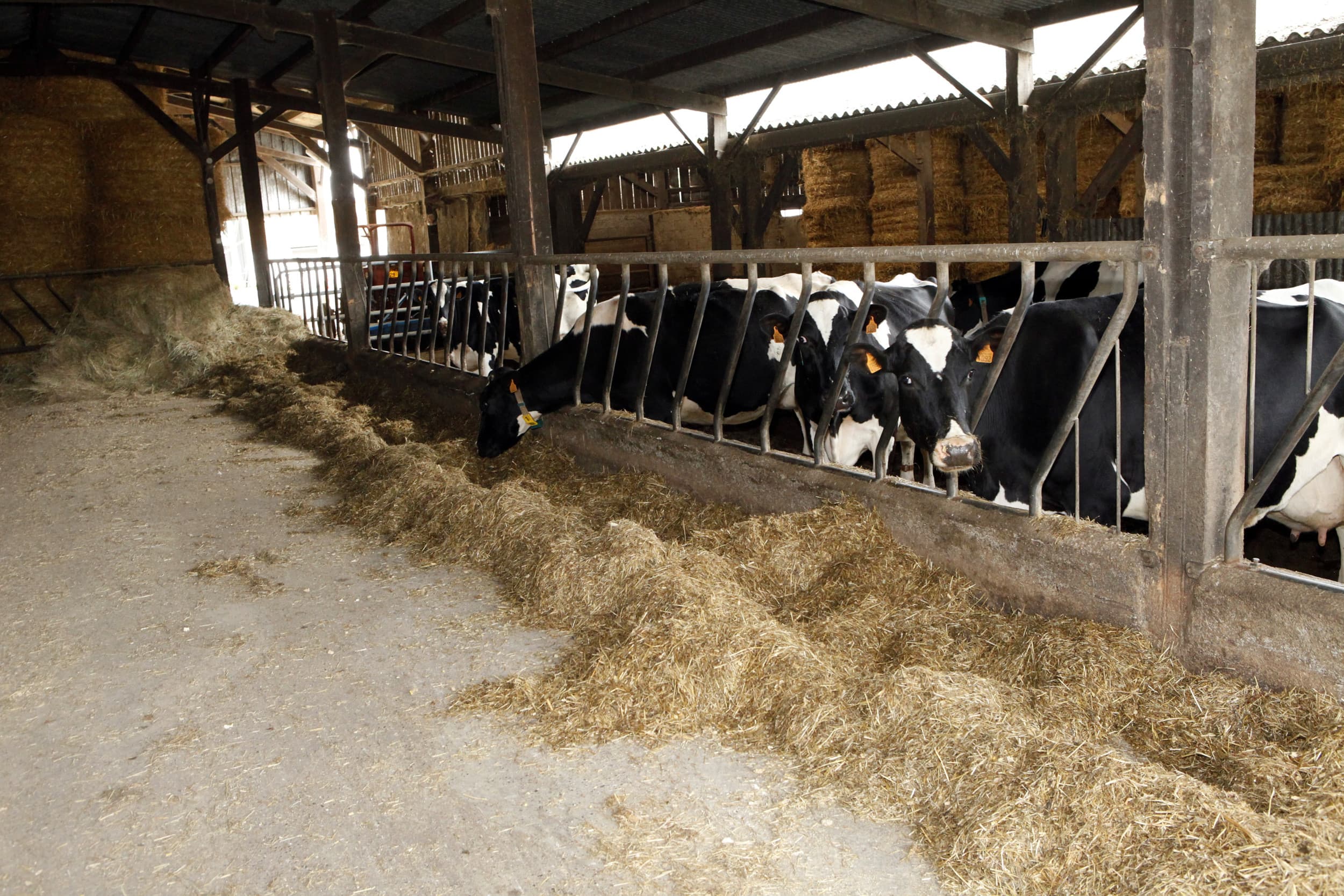 Lactalis zet meer dan $30 miljard om