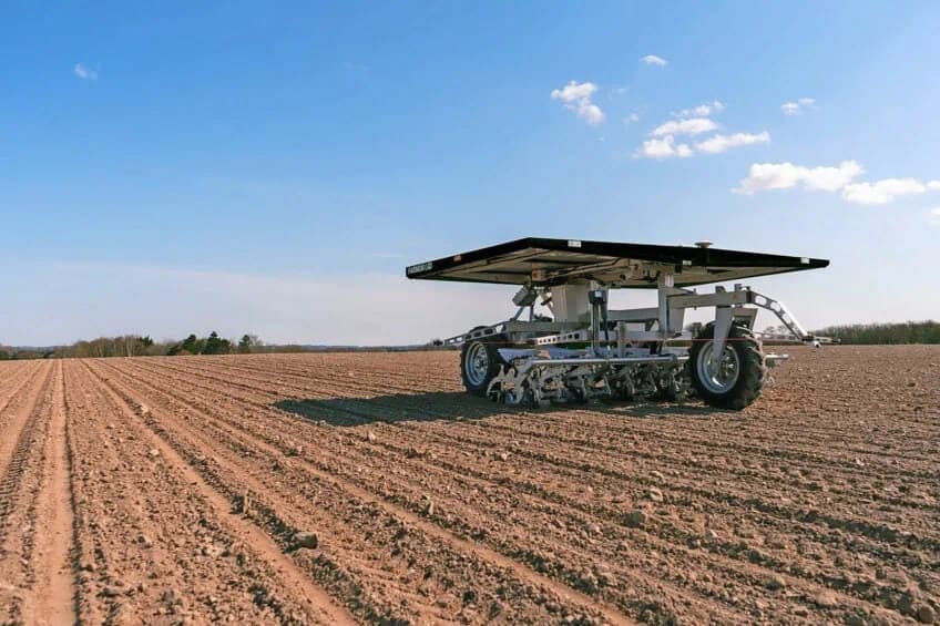 Farmdroid, een elektrisch aangedreven veldrobot, wordt ingezet op de inspiratiebedrijven van Cosun. – Foto: Farmdroid Denmark