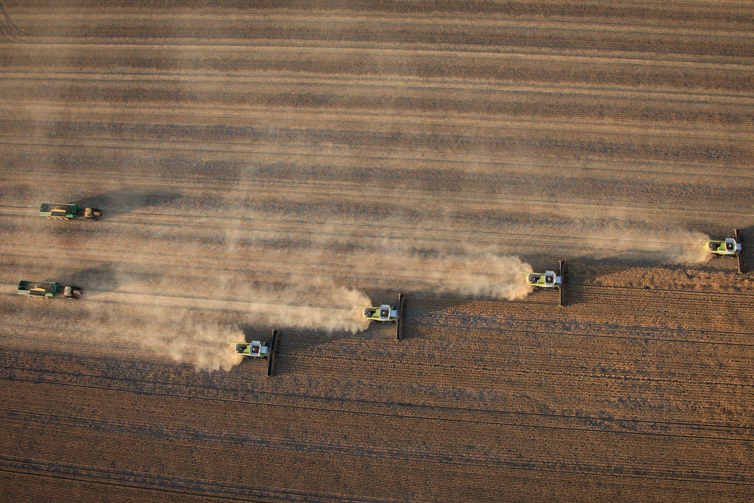 Graanoogst in Australië. – Foto: Gerrit Kurstjens
