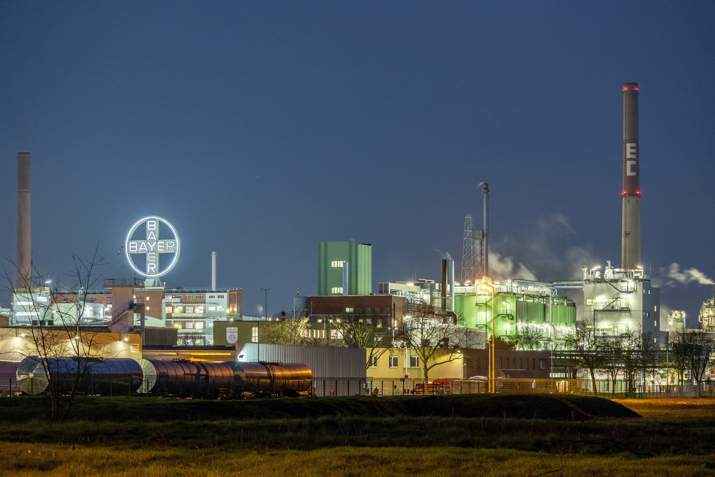 Chemieconcern Bayer heeft een belangrijke overwinning behaald in een Amerikaanse rechtszaak over het onkruidbestrijdingsmiddel Roundup. – Foto: ANP