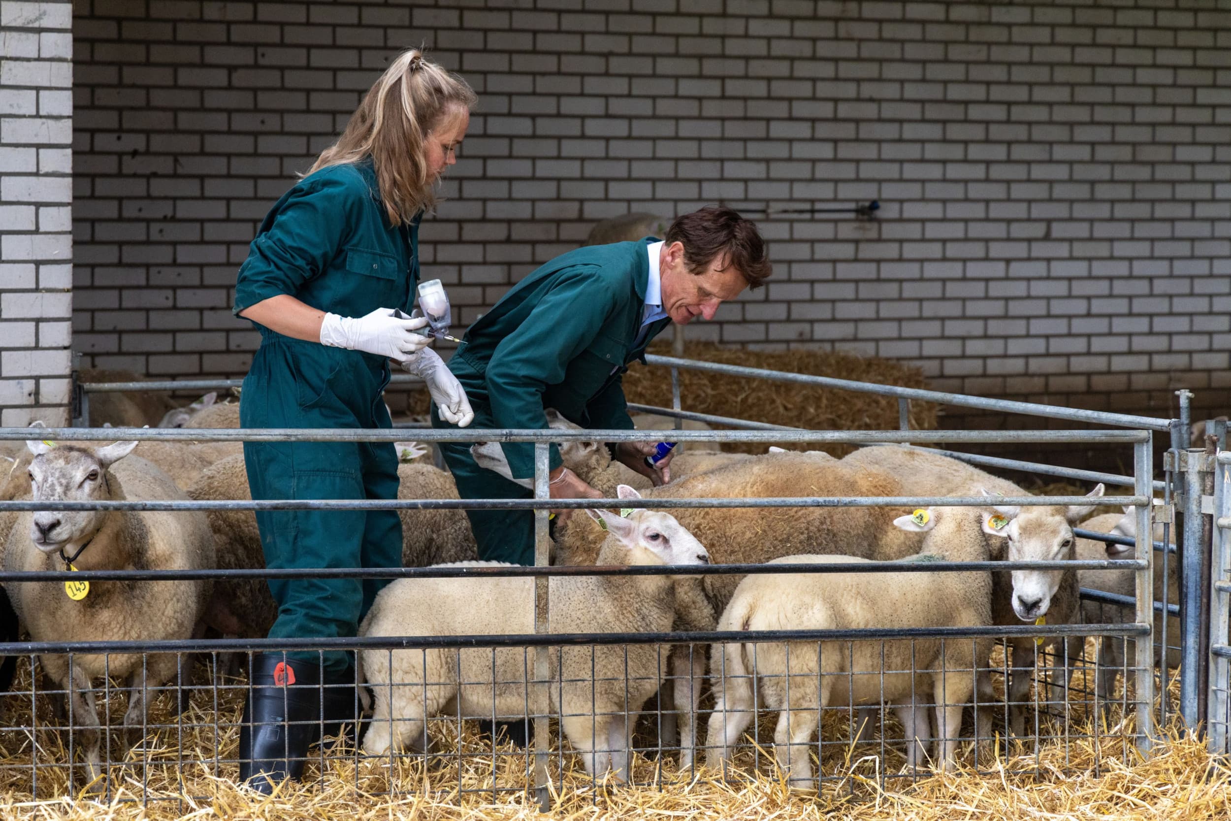 Foto: Koos Groenewold