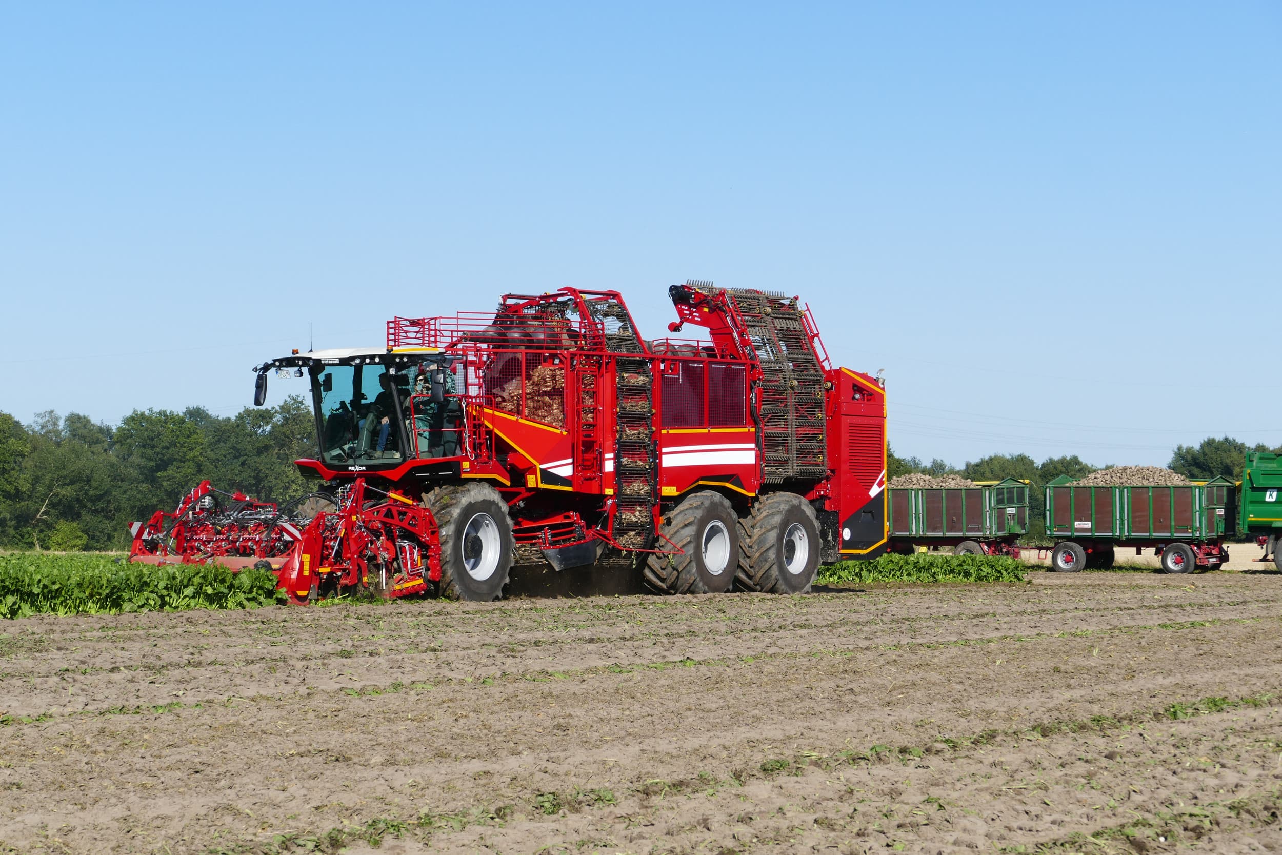 De Grimme Rexor 6300 aan het werk op Grimmehof in Cappeln (D.). De bietenrooier was voorheen iets langer dan 15 meter. Dat gaf problemen om de machine op kenteken te krijgen. Door een gewijzigd motorcompartiment zit de lengte van de drieasser nu net onder de 15 meter. - Foto's: Martin Smits