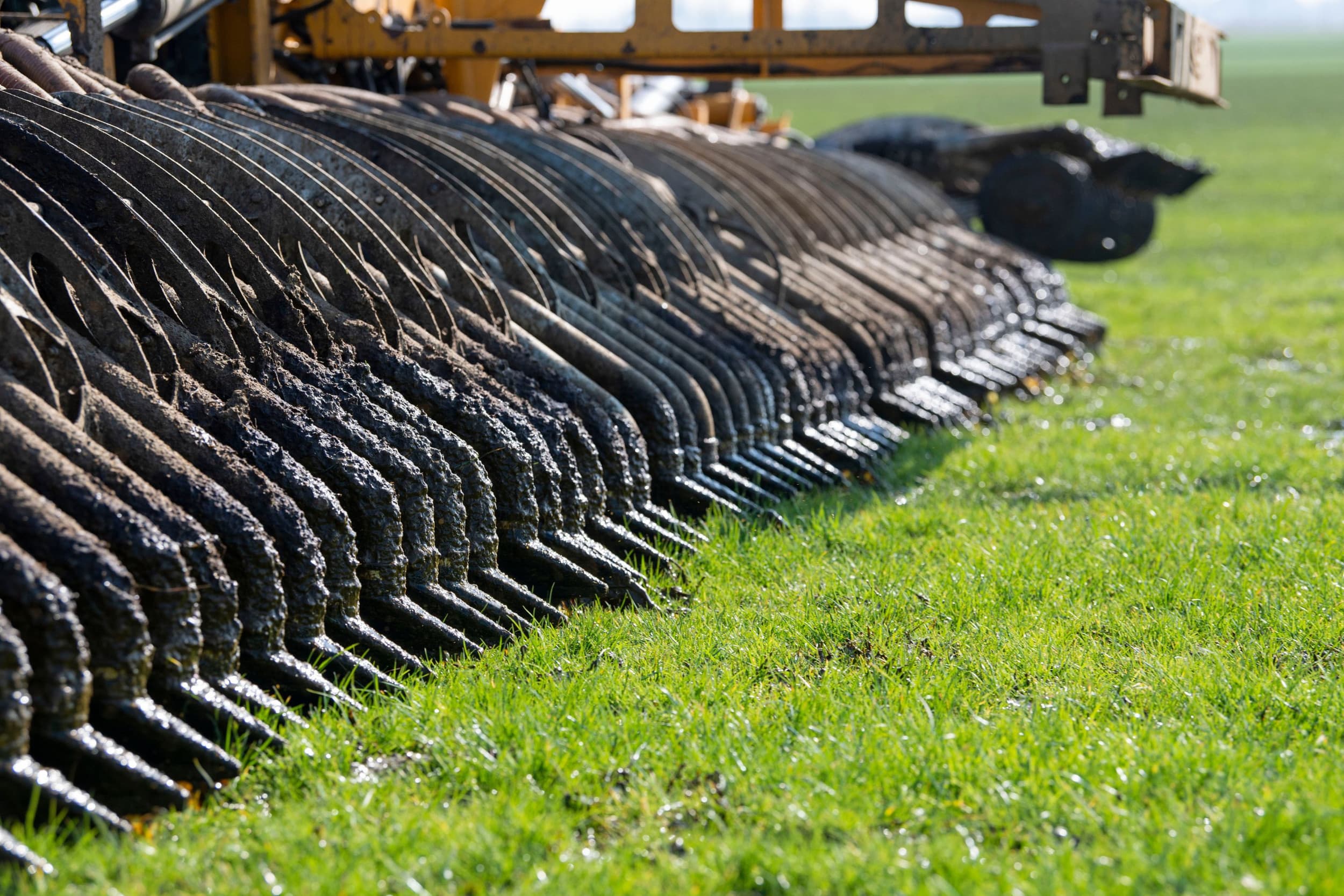 De Duitse deelstaten willen de huidige materiaalstroom-balans in de landbouw niet vervangen door een nieuwe mestwet. – Foto: Mark Pasveer