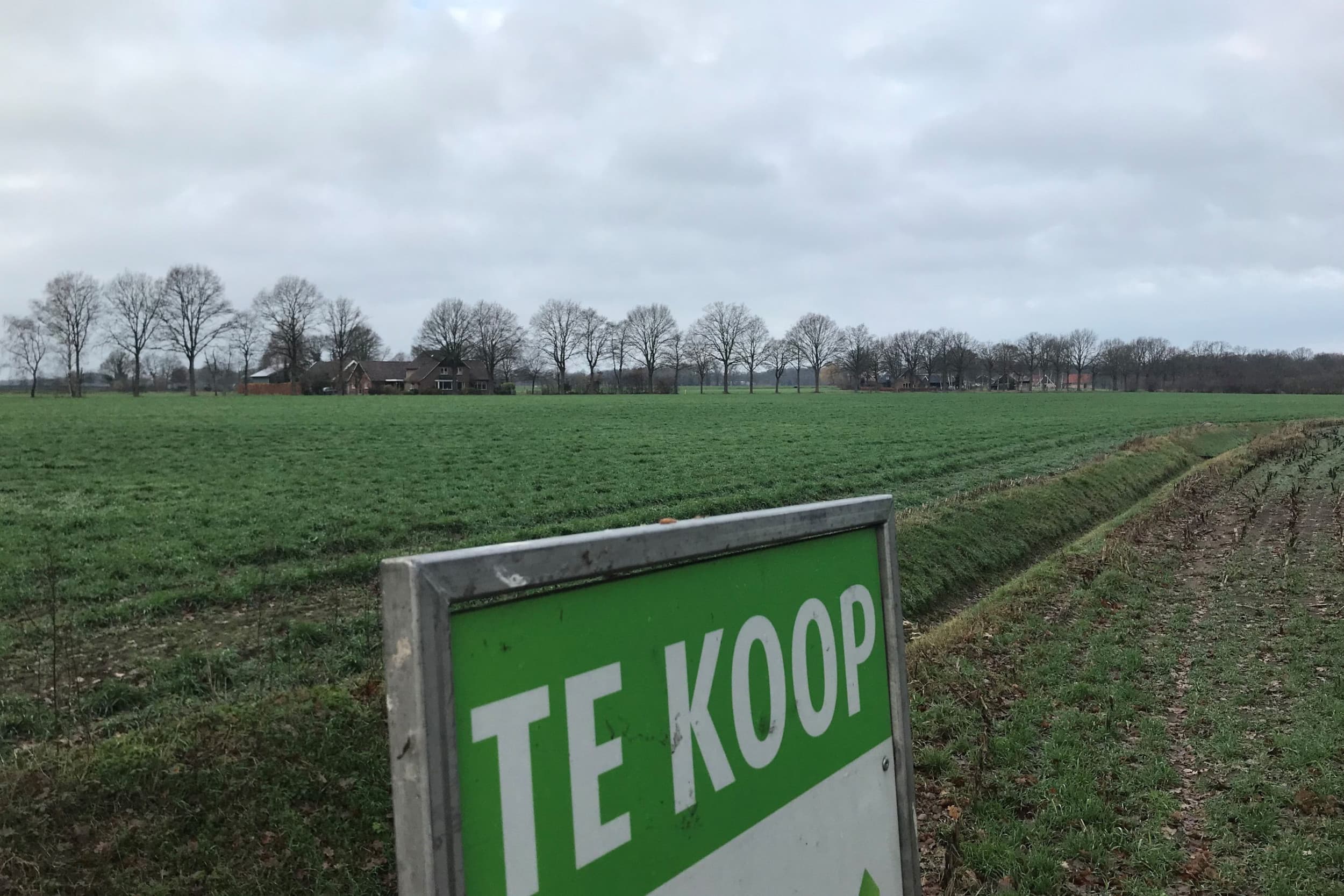 Foto: Martijn ter Horst