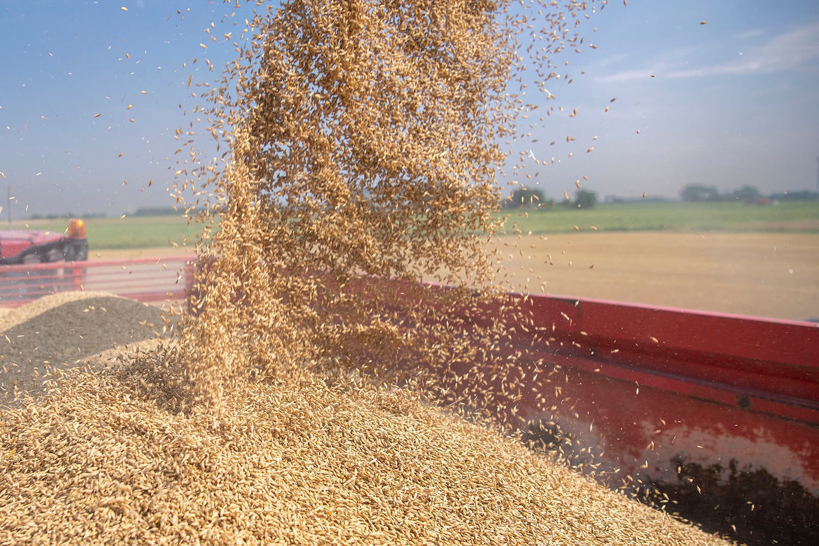 De Deense boerencoöperatie DLG Group heeft contracten afgesloten met boeren voor de producten uit regeneratieve landbouwprojecten. In eerste instantie gaat het om afspraken voor 100 hectare brouwgerst. – Foto: Mark Pasveer