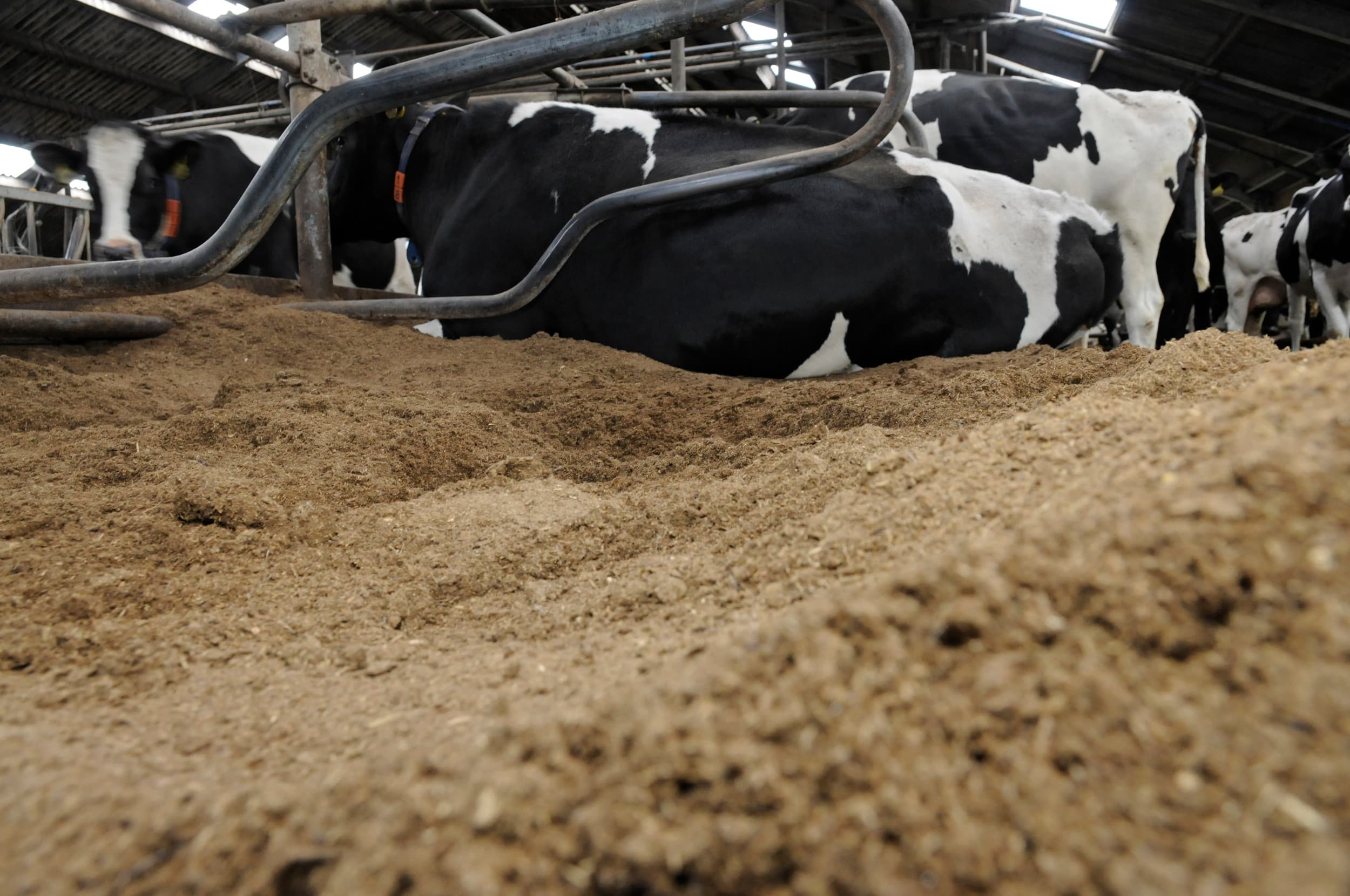 Om besmettingen met omgevingskiemen uit biobedding te voorkomen adviseert GD steeds dunne laagjes aan te brengen zodat dit snel aan de lucht kan drogen. – Foto: Penn Communicatie