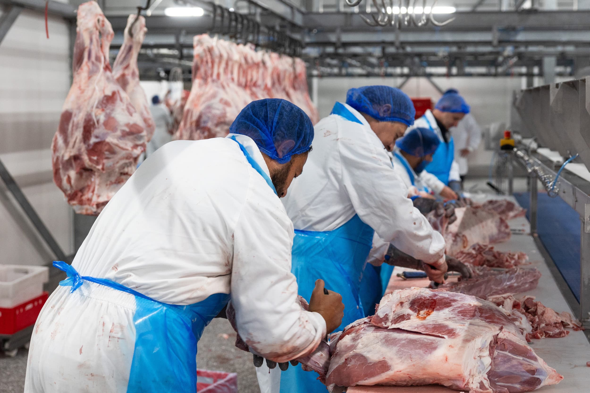 verbod uitzendkrachten slachterijen