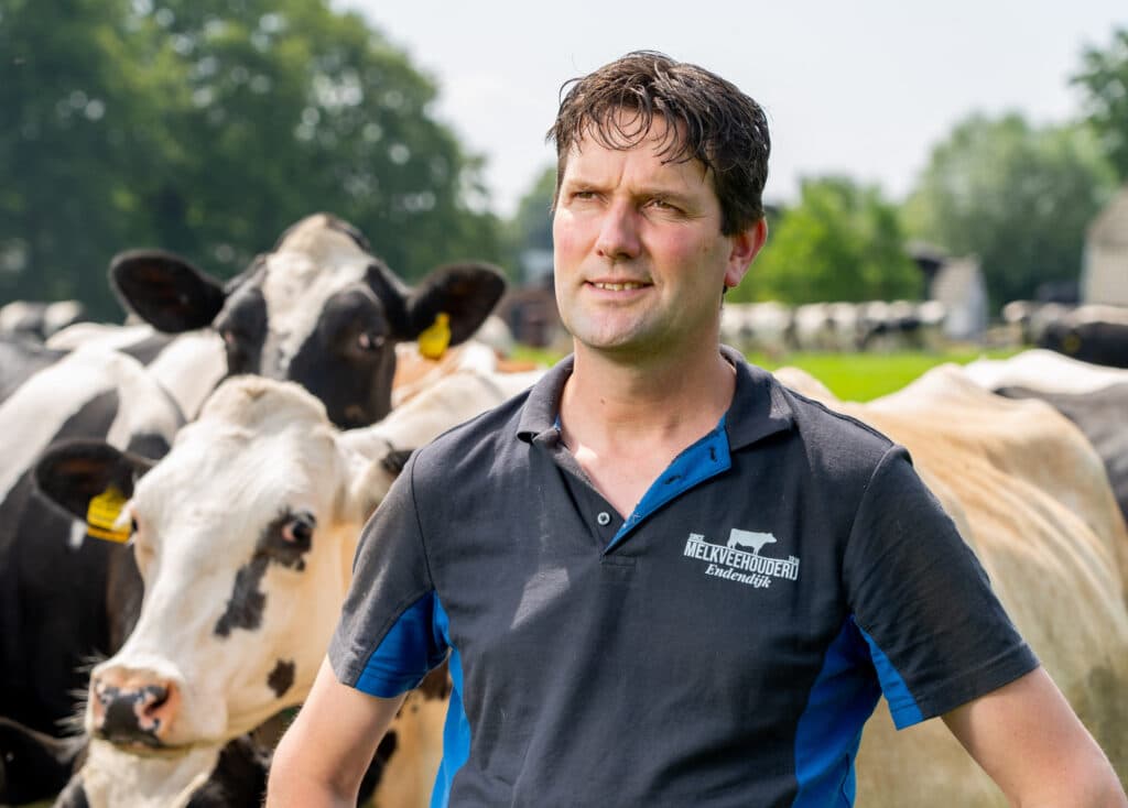 Harmen Endendijk merkt in zijn eerste vier maanden als NMV-voorzitter dat het niet altijd meevalt alle dossiers de aandacht te geven die ze stuk voor stuk verdienen. Mestplaatsing, mestbeleid/derogatie, natuurbeleid/stikstof, PAS-melders, NPLG, water, normeringen, wolven, ganzen, noem maar op. Allemaal zaken die een eerlijk inkomen van melkveehouders bedreigen. Wat hem meevalt, is de invloed die NMV toch heeft als ze goede input levert. NMV wordt als serieuze gesprekspartner beschouwd.