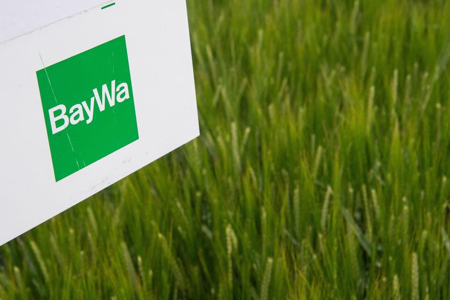 Duitse en Oostenrijkse banken en financiële instellingen hebben de eerste toezeggingen gedaan voor een mogelijk reddingsplan voor BayWa. – Foto: Fabian Sommer/dpa Photo via Newscom