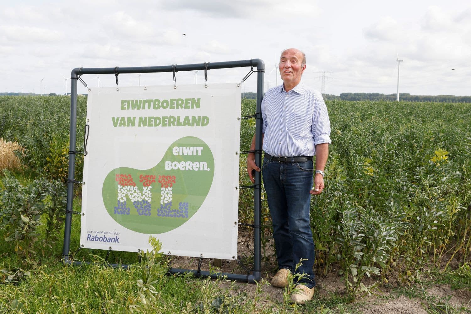 Henk Janknegt ziet graag dat zoveel mogelijk telers van peulvruchten zich aansluiten bij de producentenorganisatie Eiwitboeren van Nederland. - Foto: Ton Kastermans Fotografie