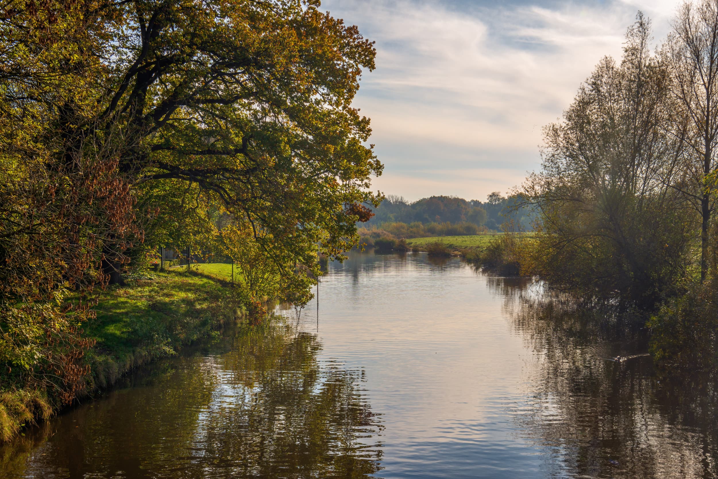 Vroege ochtend in het Markdal. Meerdere boeren in het Brabantse grensgebied zitten volgens bestuurslid waterschap Brabantse Delta op onteigening te wachten. – Foto: ANP