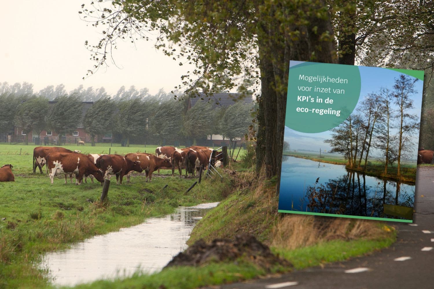 Kritische prestatie-indicatoren (KPI's) worden mogelijk ingevoerd om eco-regelingen in het Europees landbouwbeleid doelgerichter te maken. Nederlandse melkveehouders kunnen beloningen krijgen op basis van hun duurzaamheidsprestaties gemeten met KPI's. – Afbeelding cover rapport ‘Mogelijkheden voor inzet van KPI’s in de eco-regeling’ en Ronald Hissink, beeldbewerking