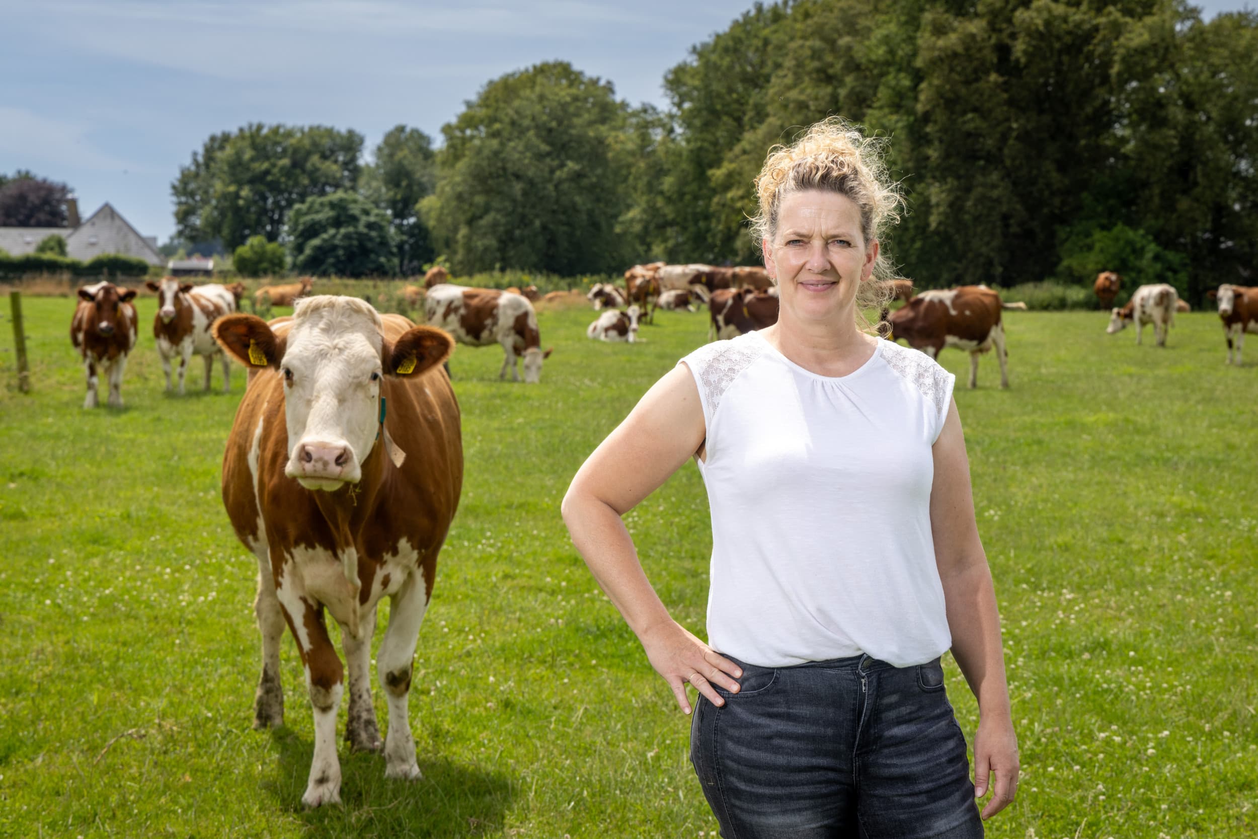 Het melkveebedrijf van Rianne Valk is aangesloten bij het netwerk Boerderij Educatie. Ze wil weer verbinding leggen tussen produceren en consumeren van voedsel. – Foto’s: Koos Groenewold