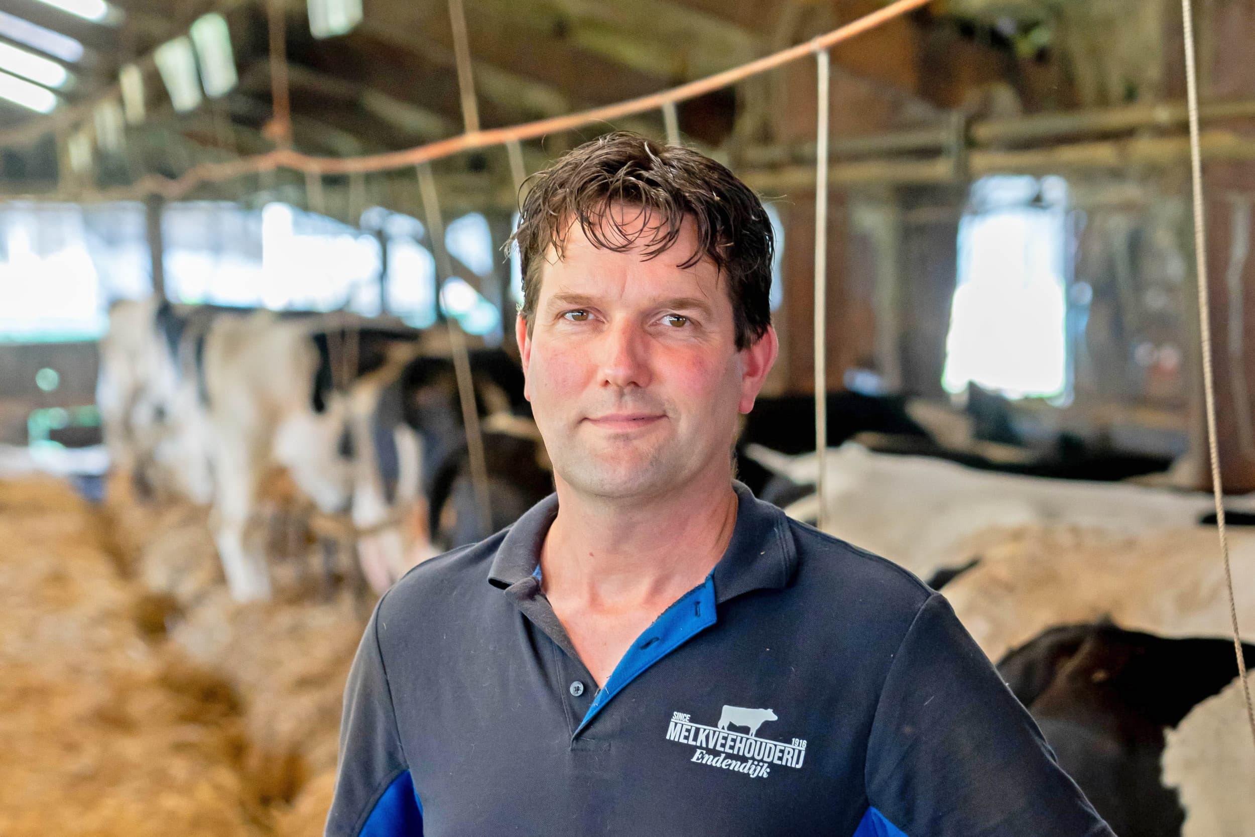 De Nederlandse Melkveehouders Vakbond (NMV) wil kostprijsverhogende effecten van bovenwettelijk beleid en zuivelindustrie beteugelen. “Dat is keihard nodig om de melkveehouderij rendabel te houden”, zegt Harmen Endendijk als nieuwe NMV-voorzitter. – Foto’s: Jan Willem Schouten