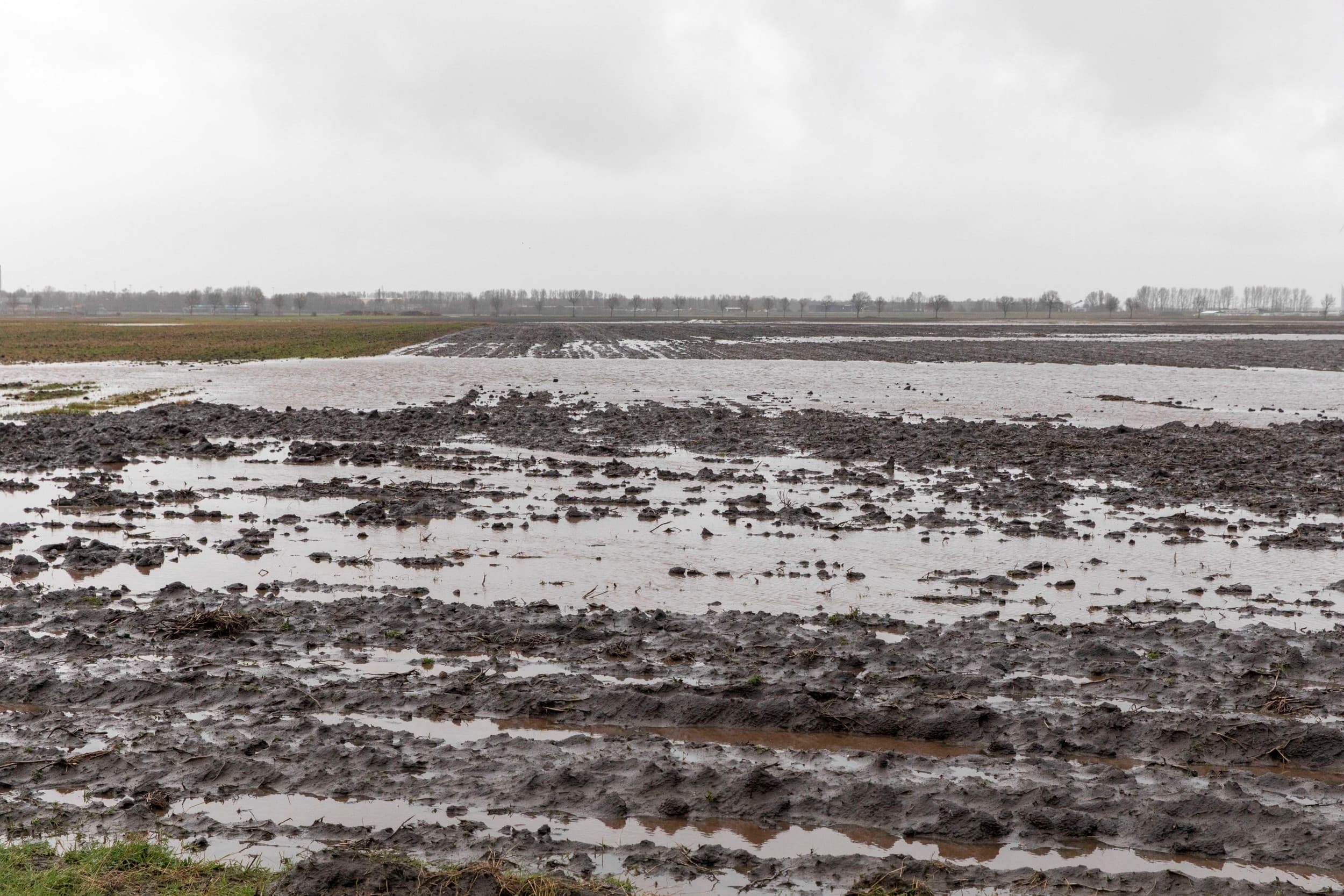 RVO heeft laten weten dat het natte weer niet als collectieve overmacht erkend is, maar je kunt wel op individuele basis een overmachtsmelding doen waarbij elk geval afzonderlijk wordt beoordeeld. – Foto: Koos van der Spek