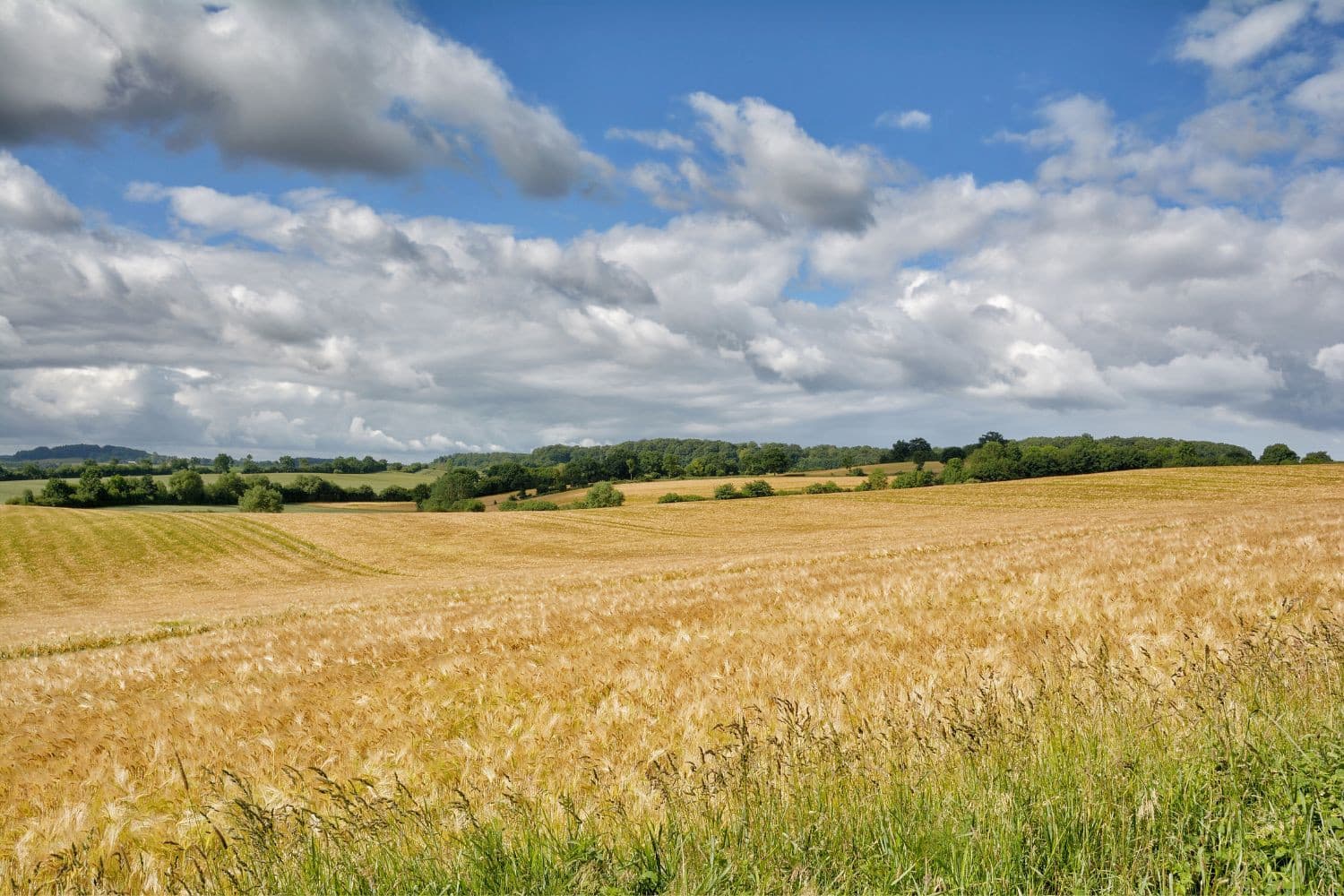 Het hooggerechtshof in Duitsland ondersteunt de uitbreiding van kwetsbare nitraatgevoelige gebieden waar strengere mestregels gelden. – Foto: Canva