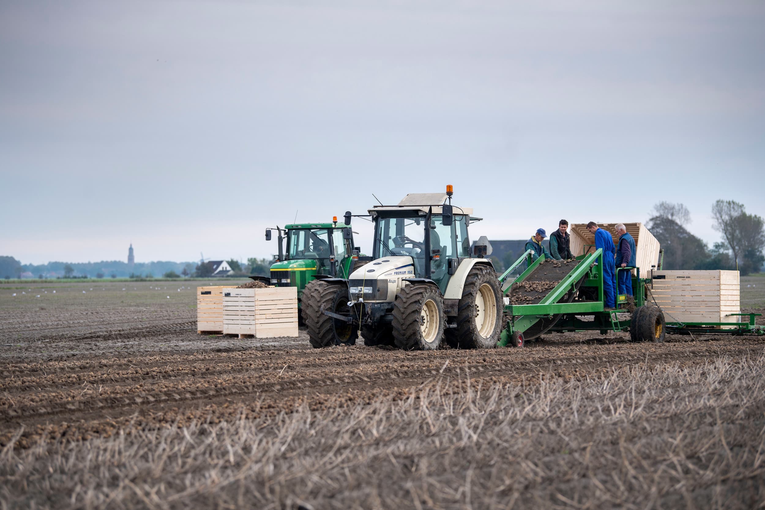 export pootaardappelen binnen landen Europese Unie