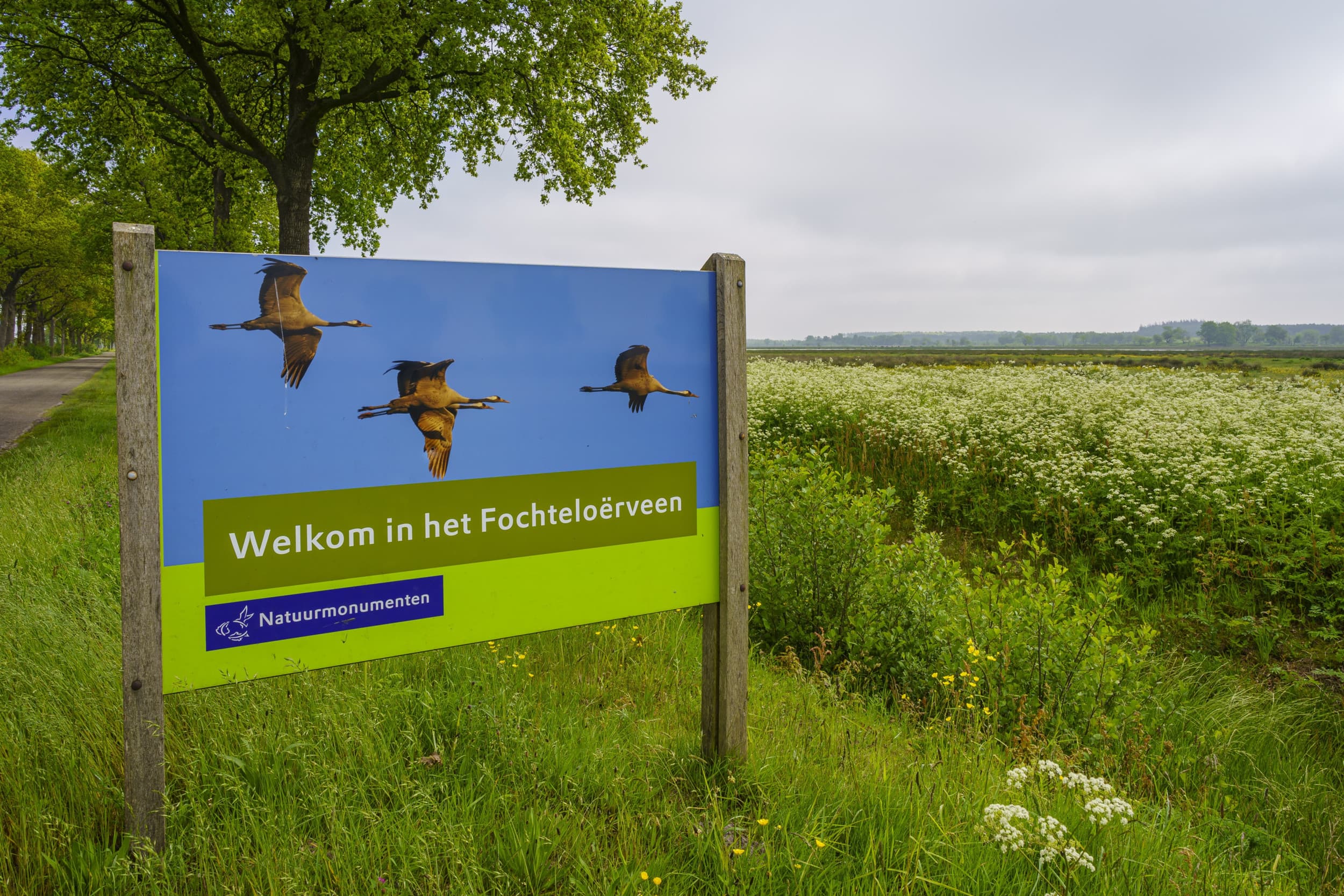 De Nederlandse overheden kochten tussen 2012 en 2023 33.300 hectare landbouwgrond. BBL verkocht 600 hectare aan Natuurmonumenten en de provinciale landschappen. – Foto: ANP