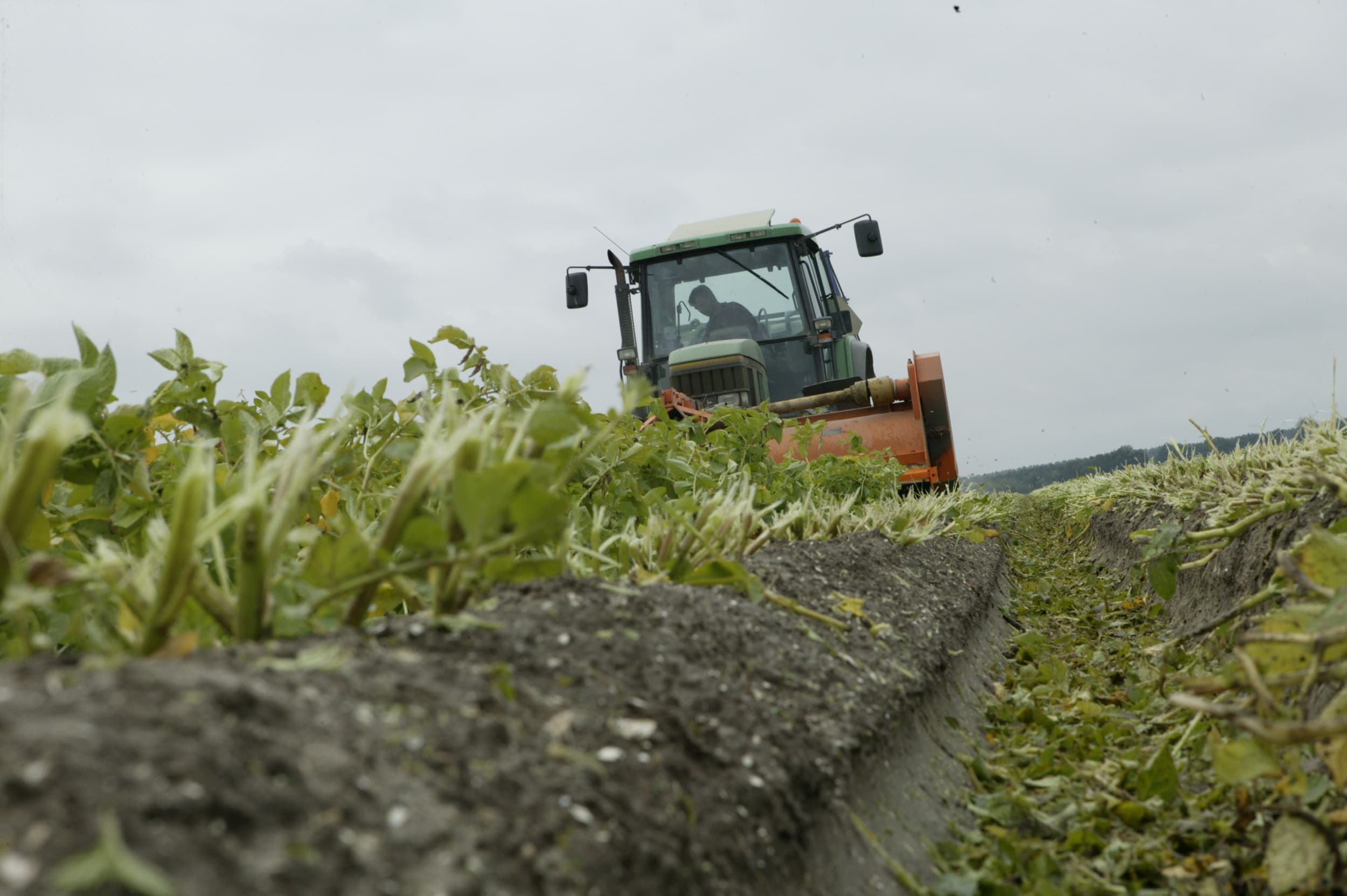 Het klappen van een perceel pootgoed in Flevoland. In deze provincie wordt al jaren het meeste betaald voor een hectare landbouwgrond. – Foto: Henk Riswick