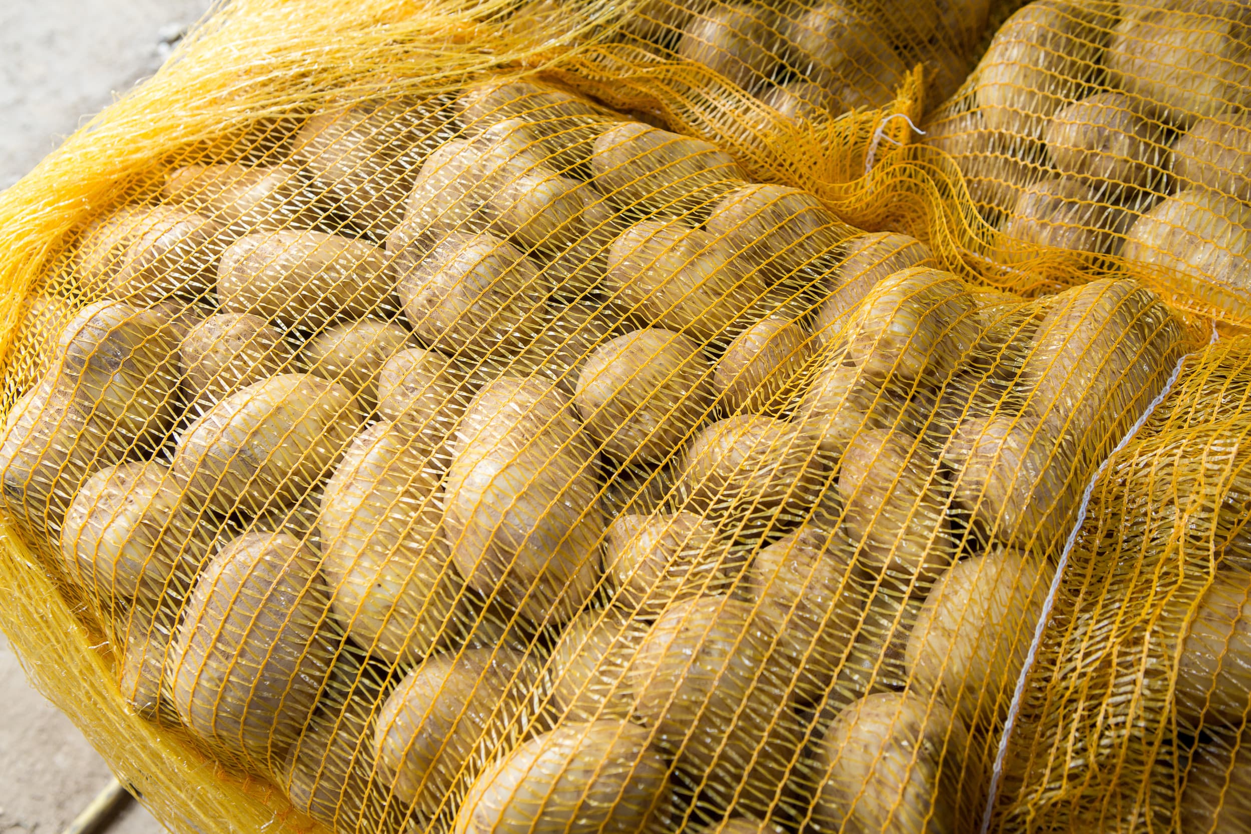 De fritesmarkt zakt in en daar heeft LambWeston last van. – Foto: Peter Roek