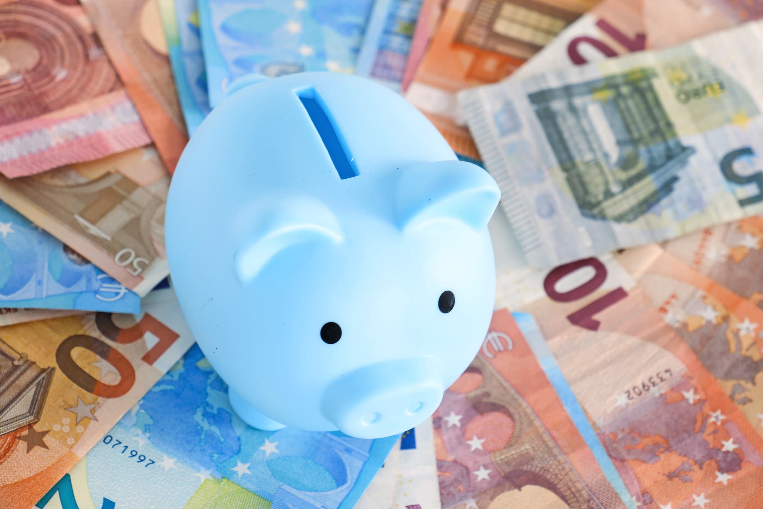 De grote liquiditeit maakt dat een deel van de varkenshouders nadenkt over hoe dit te besteden. Zeugenhouders profiteren daarvan het meest, gevolgd door gesloten bedrijven. Vleesvarkenshouders zien er minder van terug op de bankrekening. – Foto: ANP