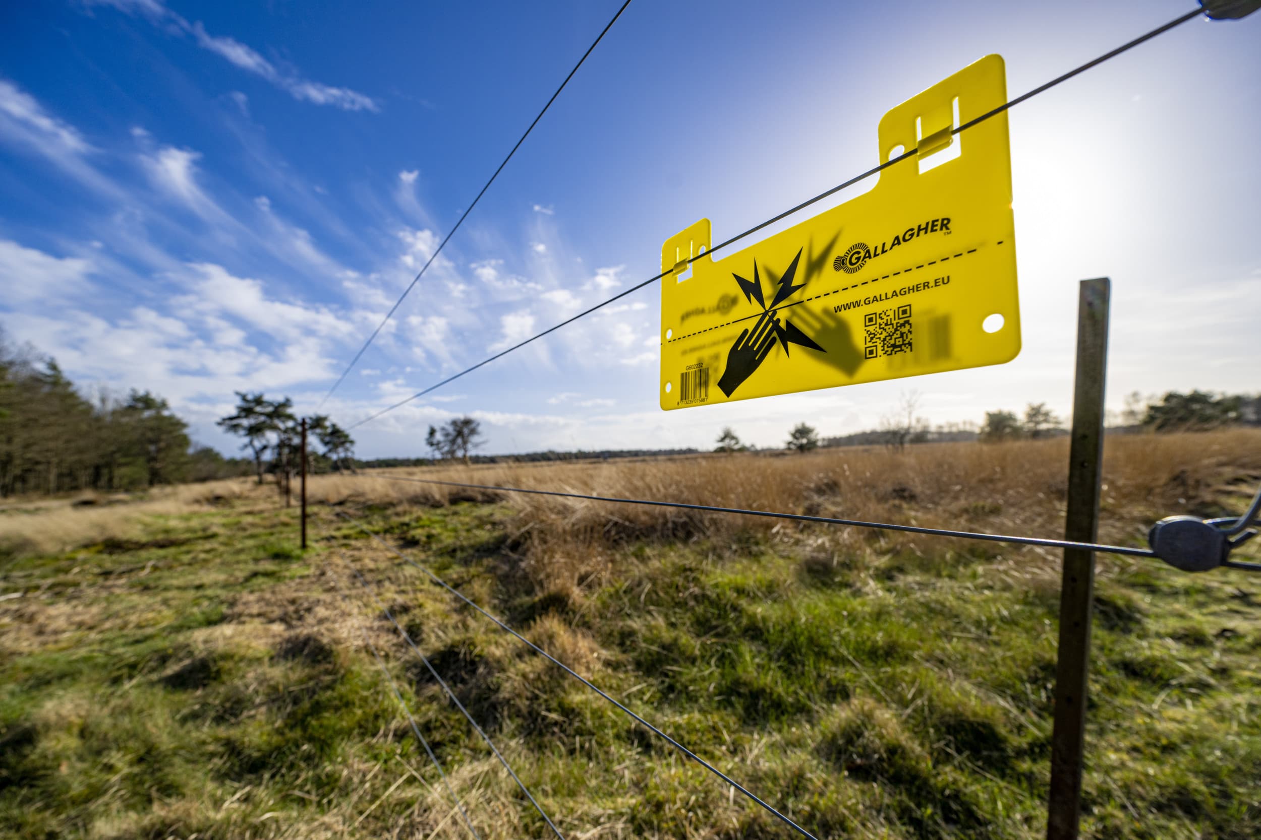 Afrastering tegen wolven. – Foto: ANP