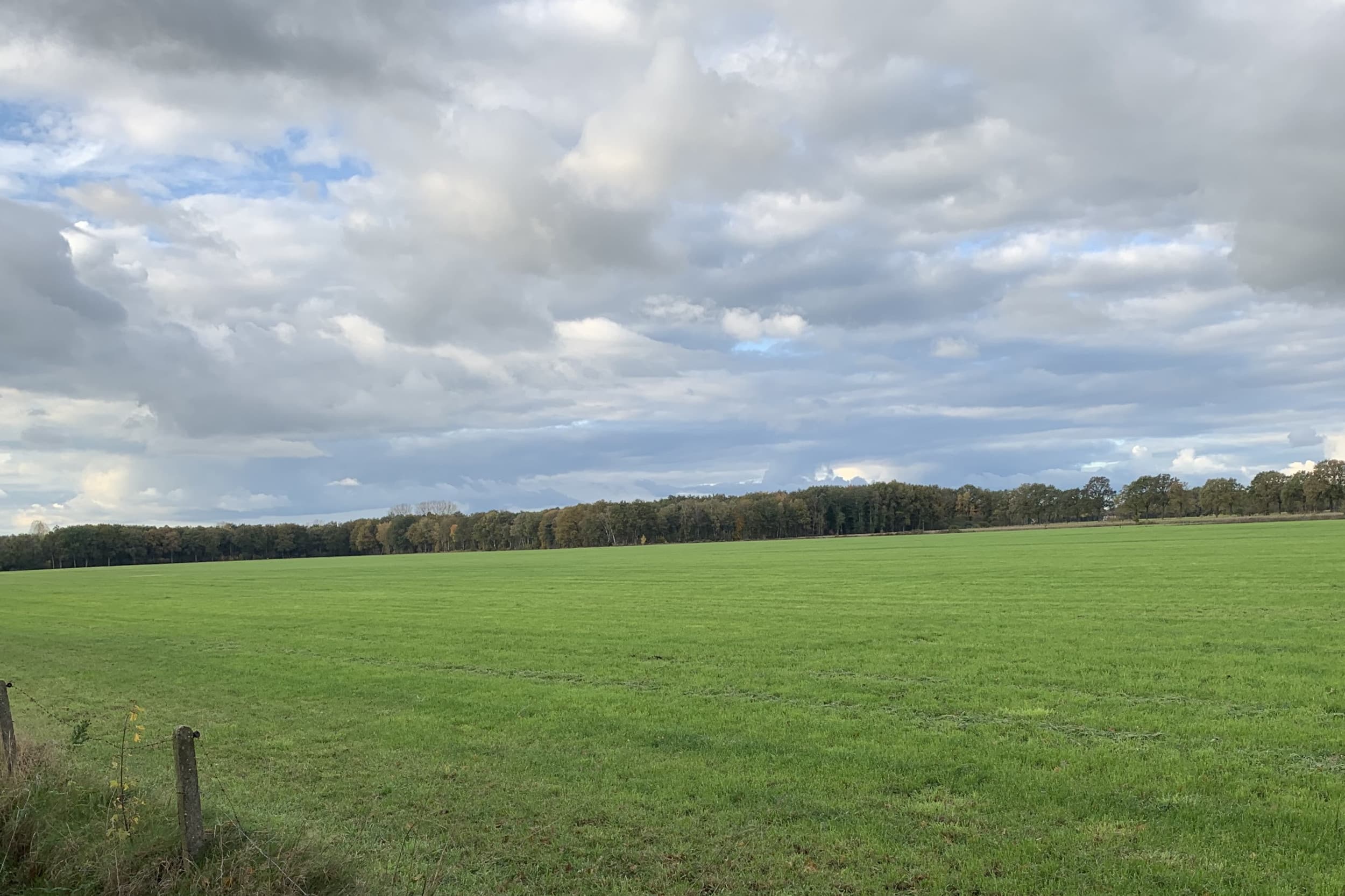 Natuurgebied Lemselermaten in de gemeente Dinkelland (Ov.). Landbouwgrond rondom dit natuurgebied wordt niet of minder bemest. – Foto: Martijn ter Horst