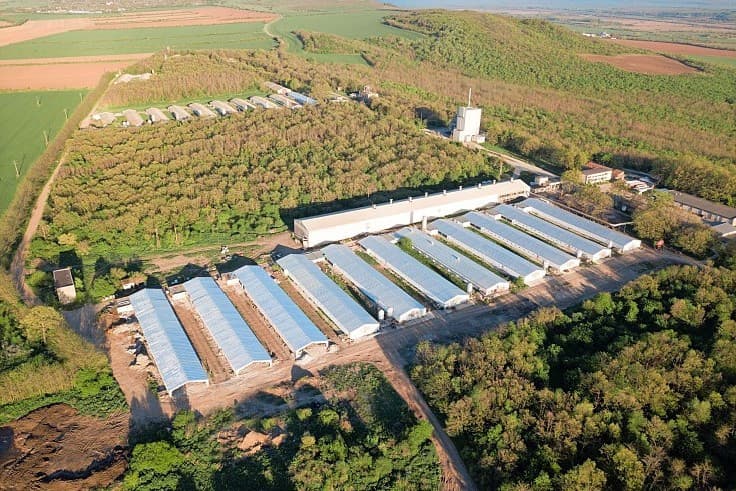 pluimveebedrijf in Bulgarije