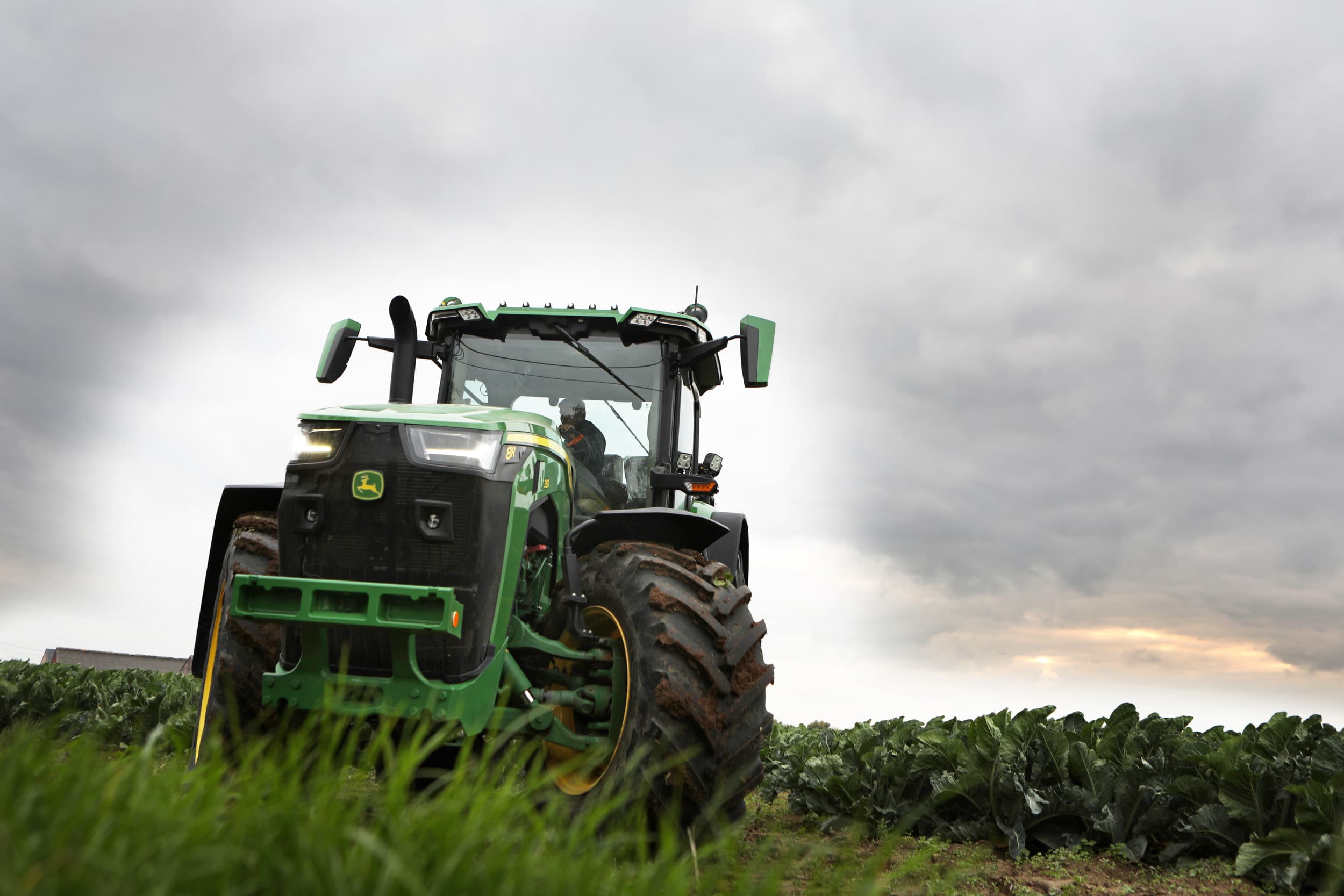 Vlaamse boeren minder wintertarwe