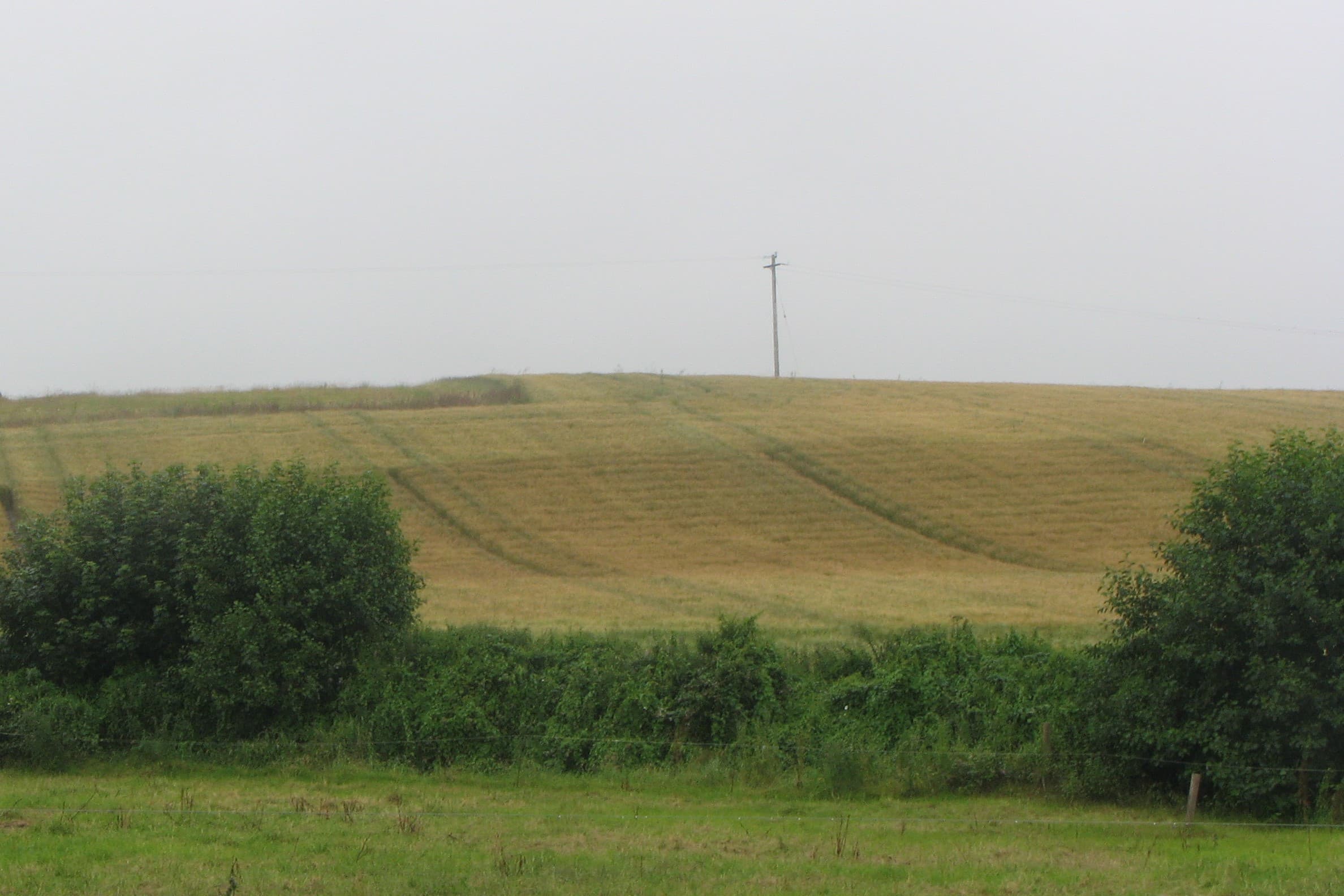 Het akkerbouwareaal in Ierland is in vier jaar tijd met 21.000 hectare toegenomen. – Foto: Martijn Knuivers