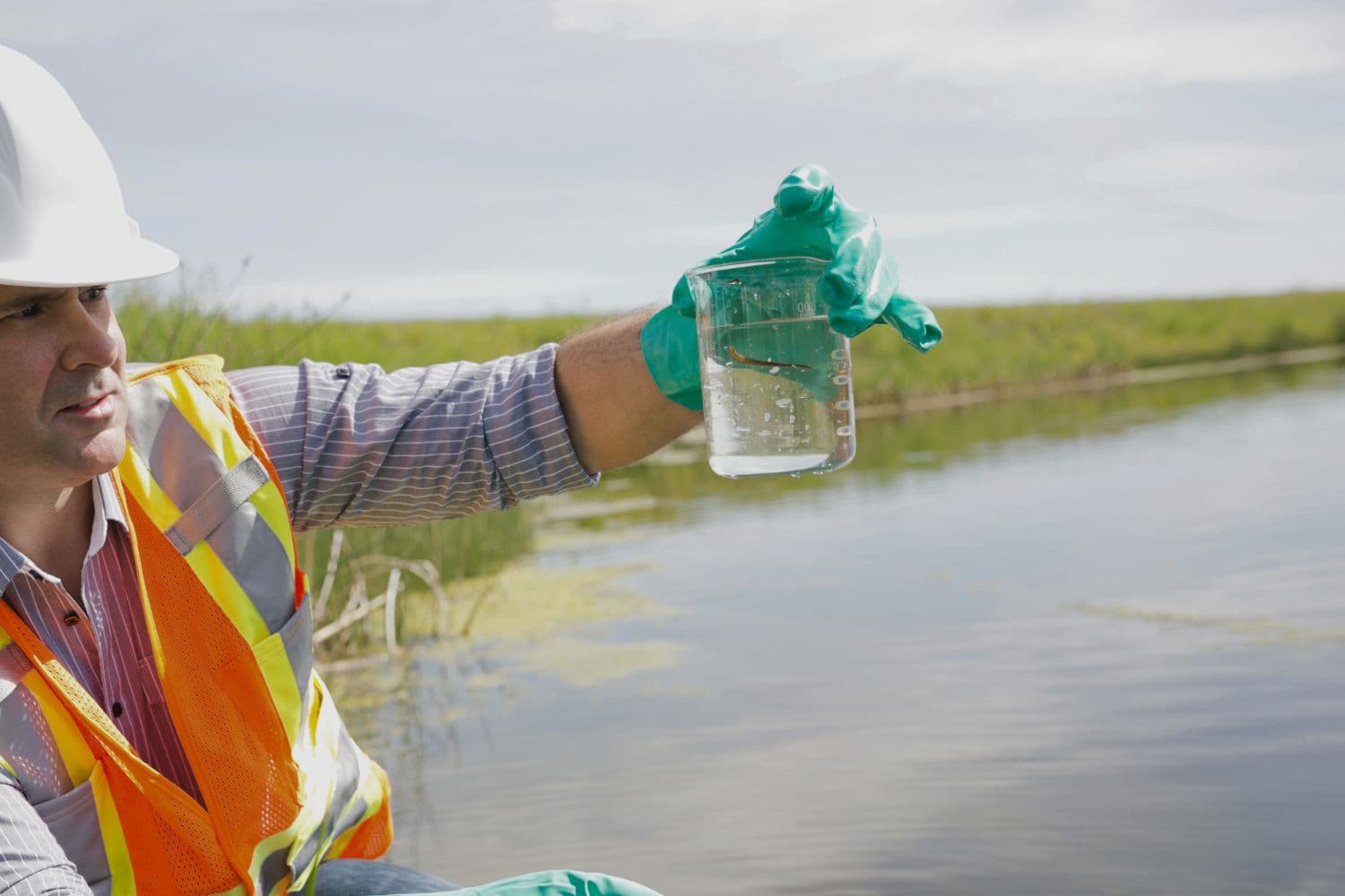 Een ecoloog is bezig met onderzoek naar de waterkwaliteit om de impact op de natuur in kaart te brengen. – Foto: Canva/Getty Images