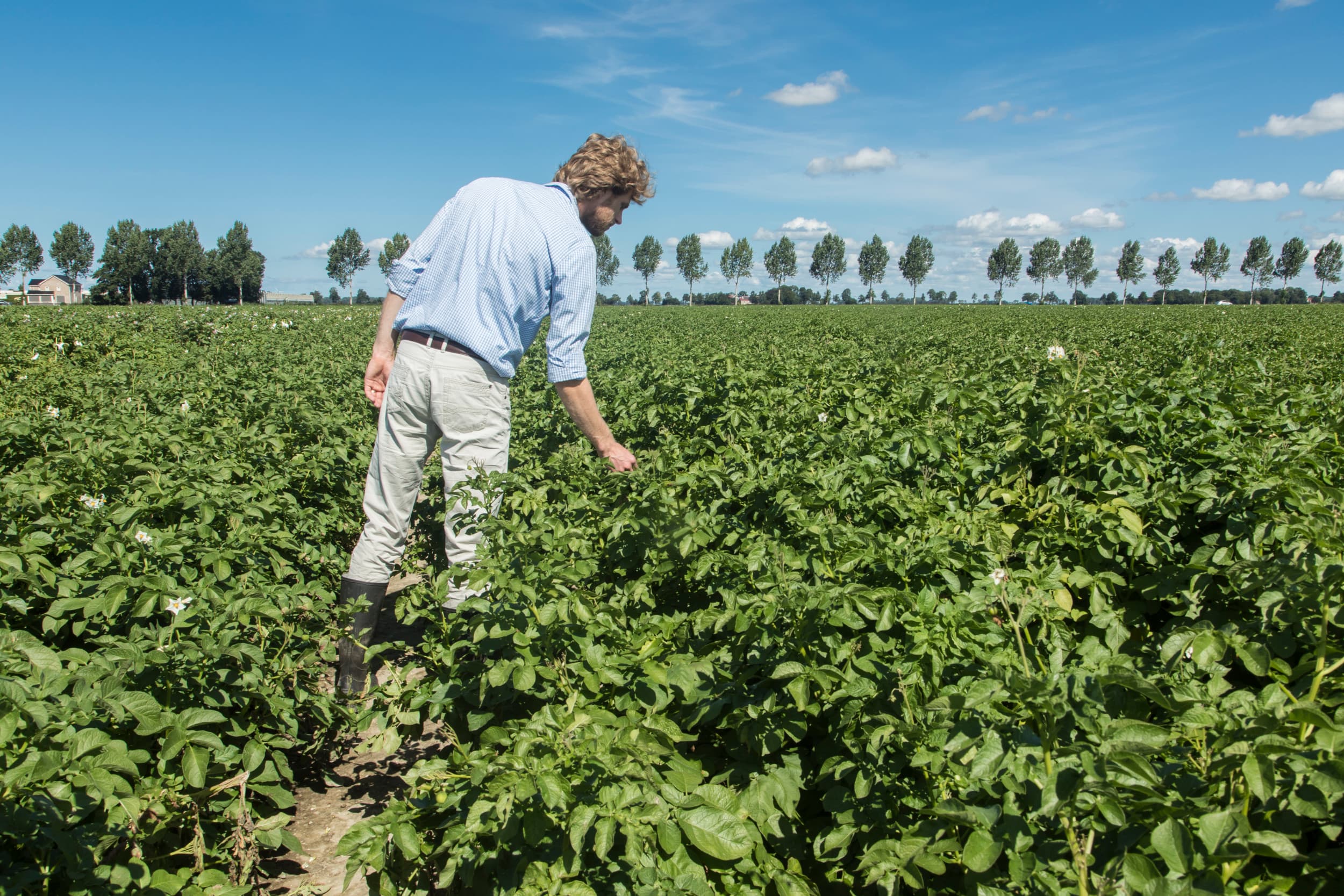 Foto: Koos Groenewold