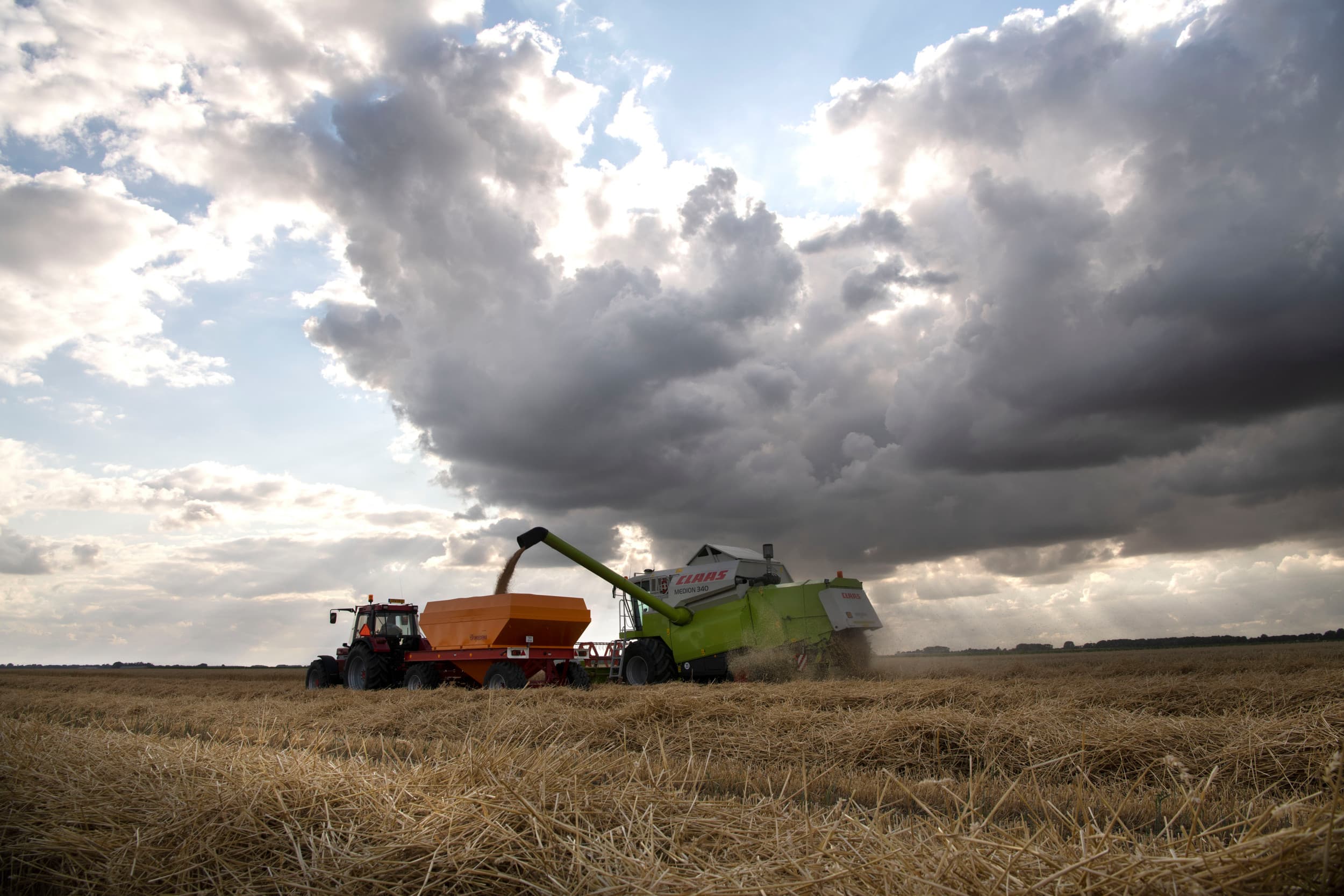 Oogst van tarwe in 2022. Volgens gegevens van het Franse ministerie van Landbouw daalt de tarweproductie dit jaar naar verwachting met 15,4% tot 29,7 miljoen ton. – Foto: Mark Pasveer